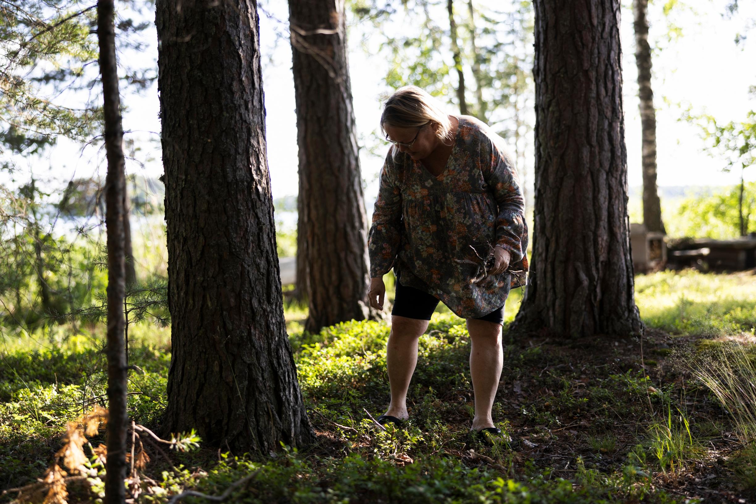Helena searches for twigs on the ground in the forest, thick tree trunks, lake in the background