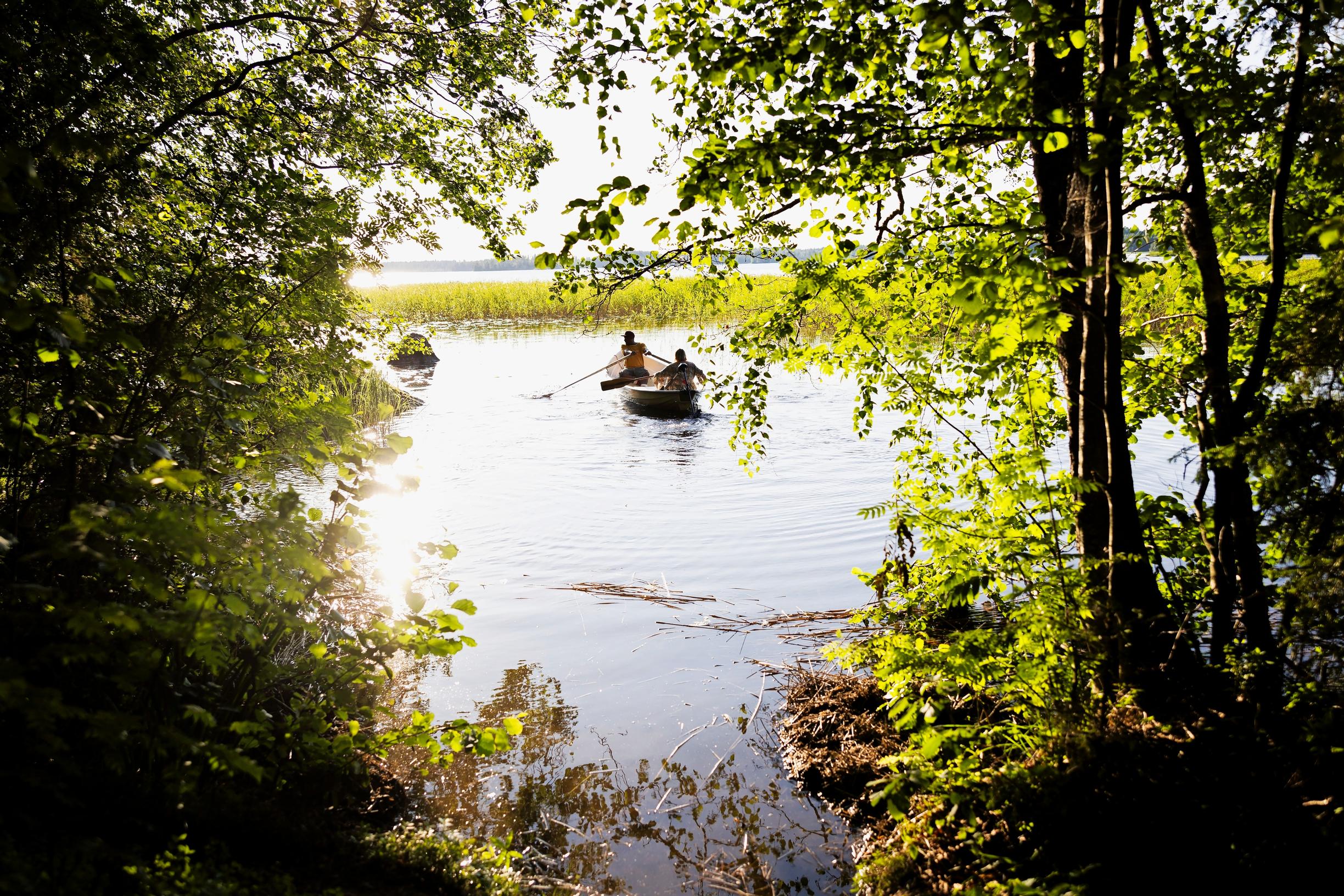 Two people in a rowing boat farther out on the lake, sunlit trees on the shore