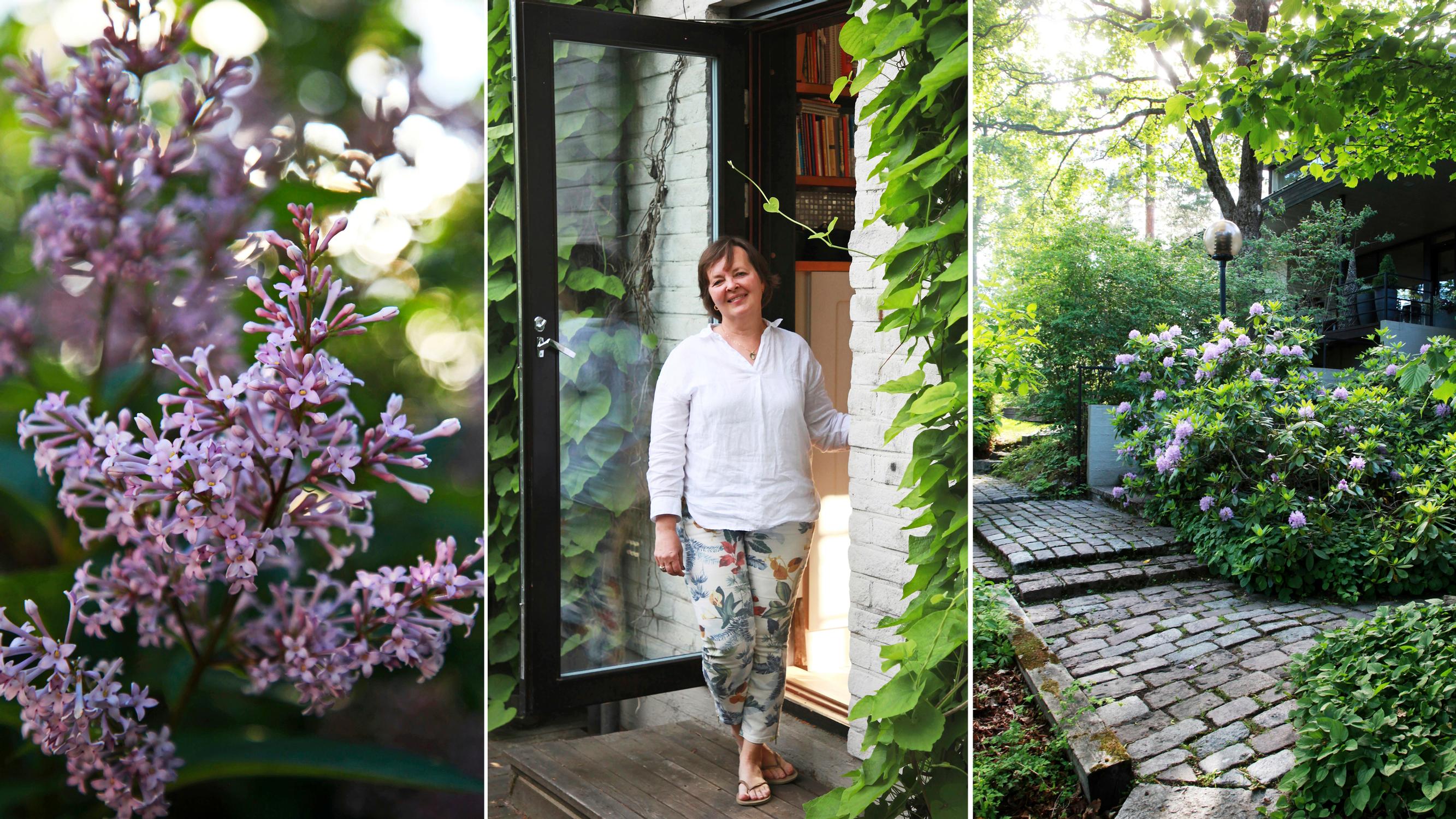 Landscape designer restored a 70s garden, honoring the original plan: “I hope this place lives, grows, and flourishes for future generations too”