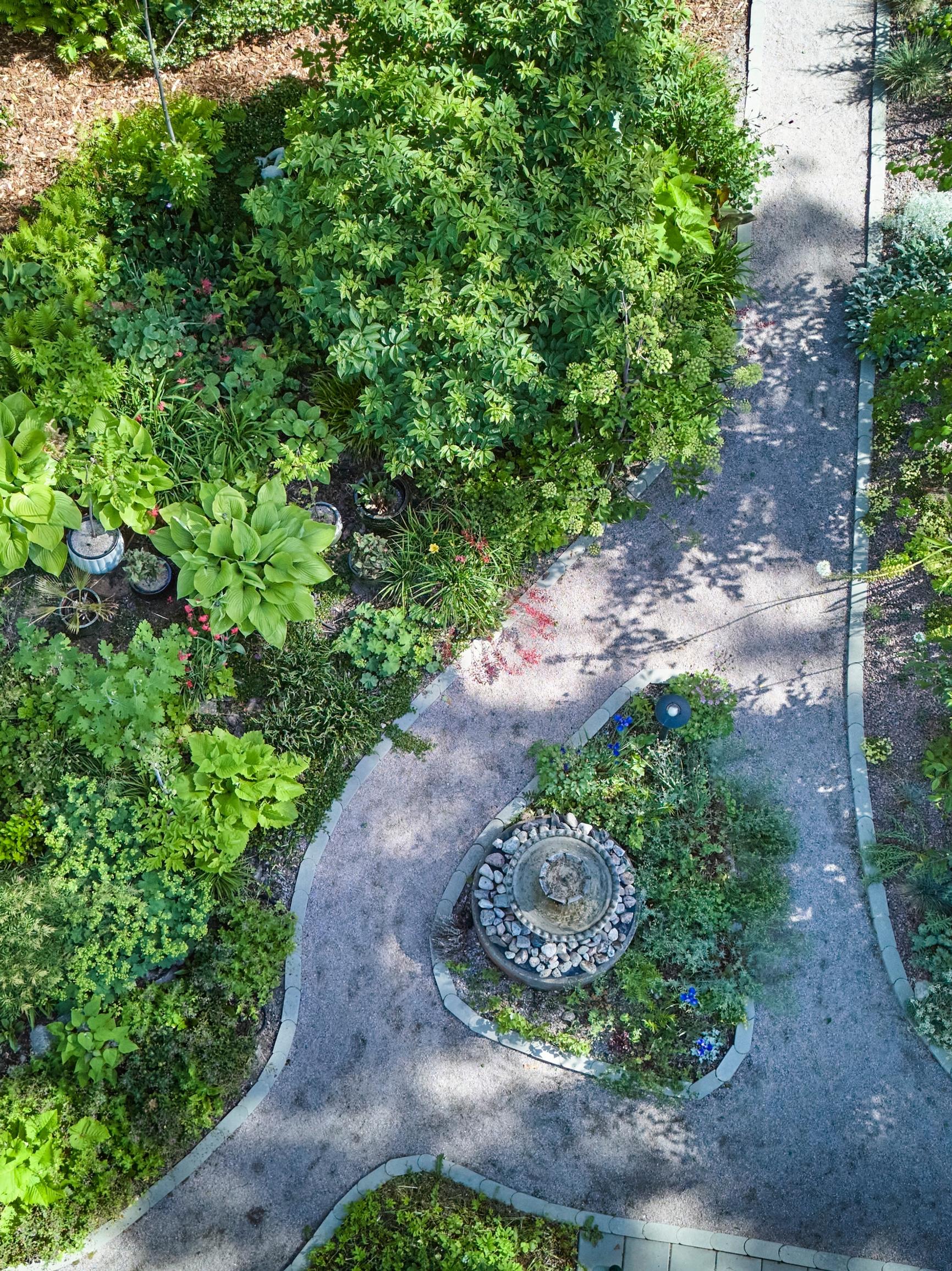 From thick grass and ground elder to a vibrant garden: two passionate gardeners create a masterpiece