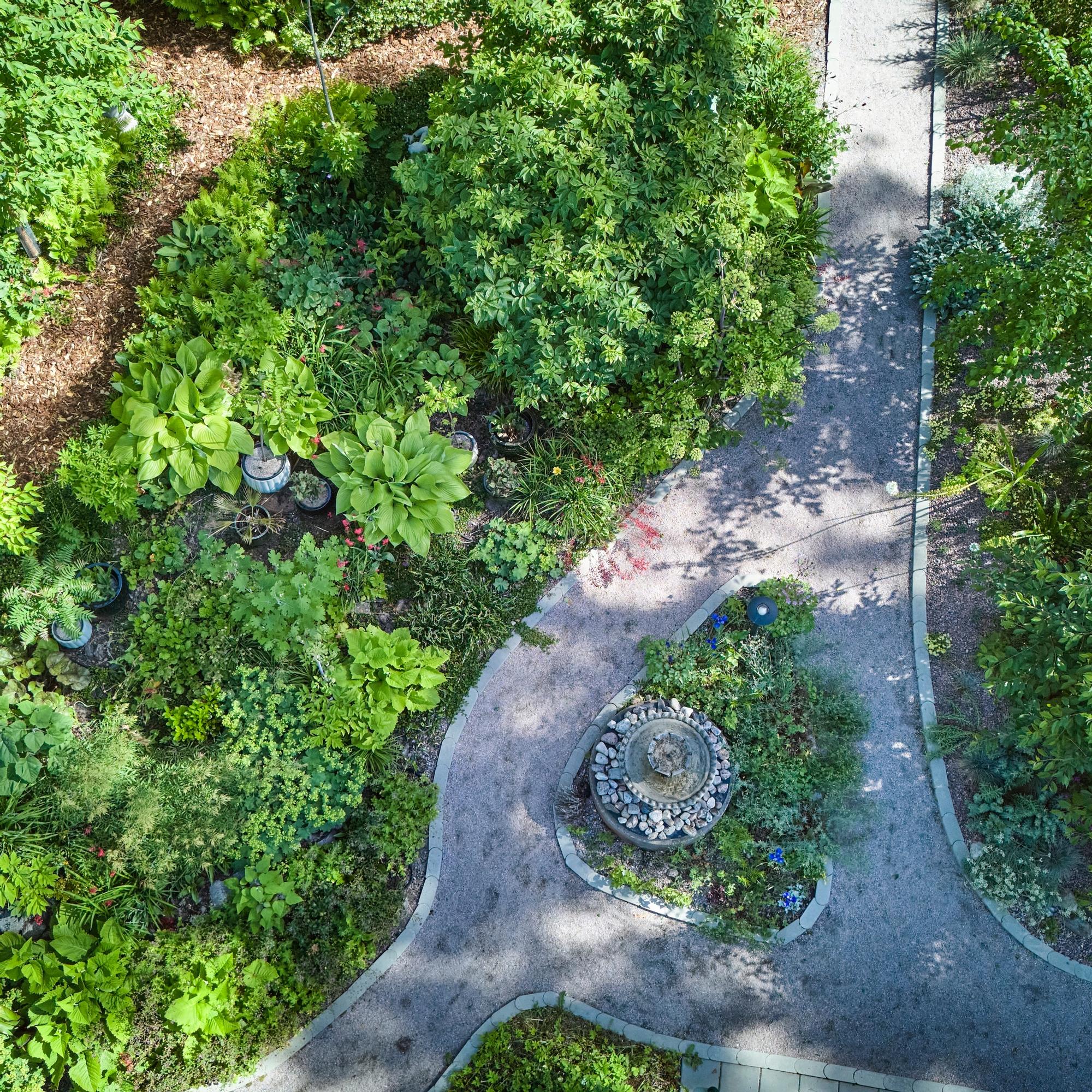 From thick grass and ground elder to a vibrant garden: two passionate gardeners create a masterpiece