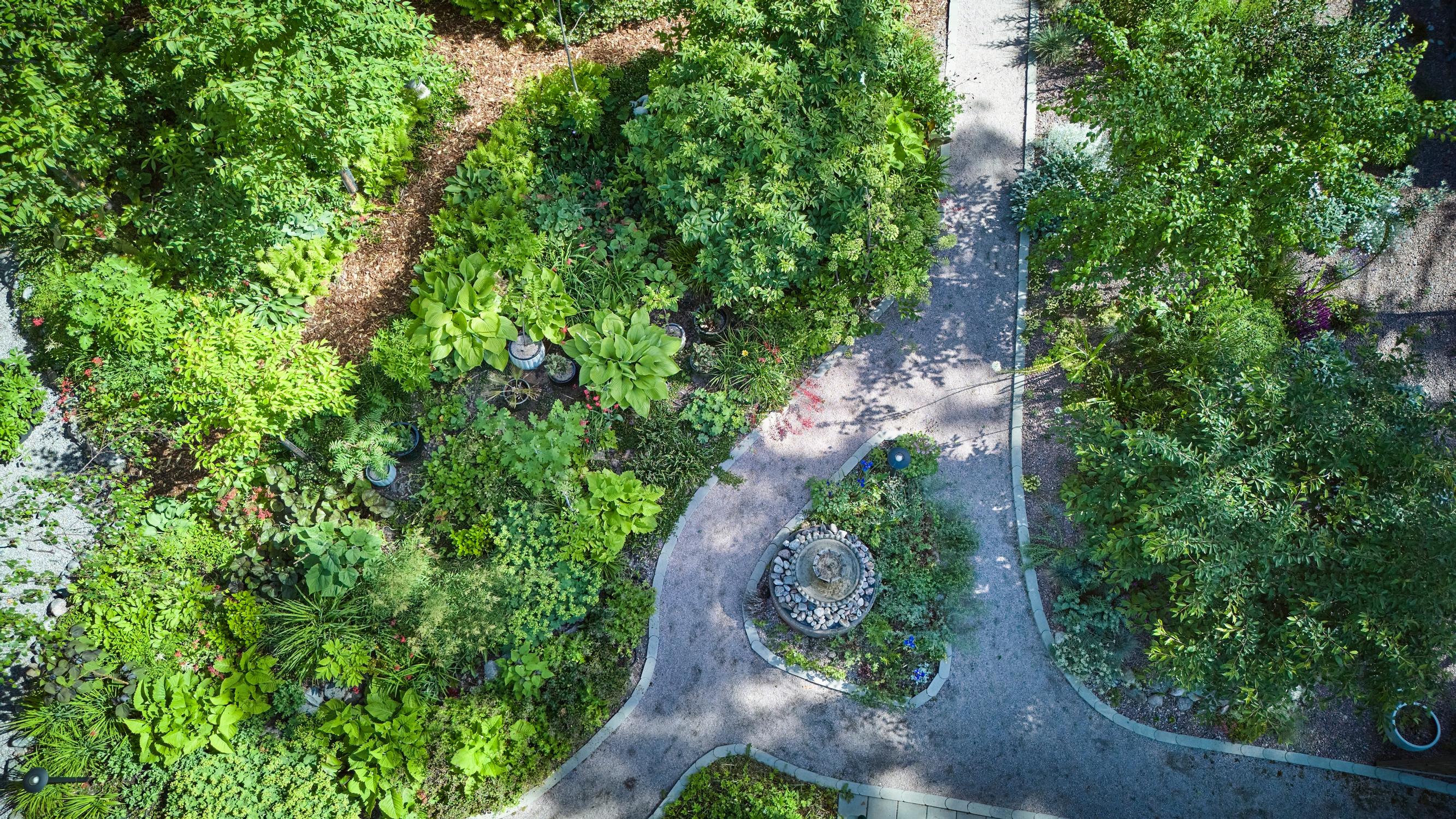From thick grass and ground elder to a vibrant garden: two passionate gardeners create a masterpiece