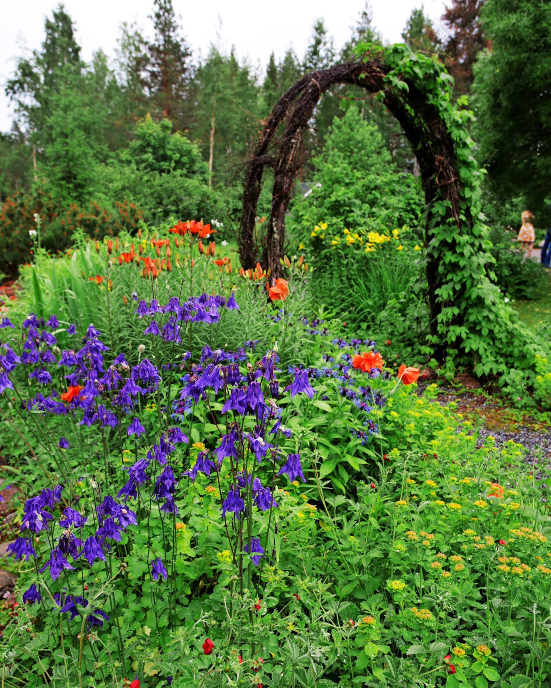 A climbing arch made of twigs.