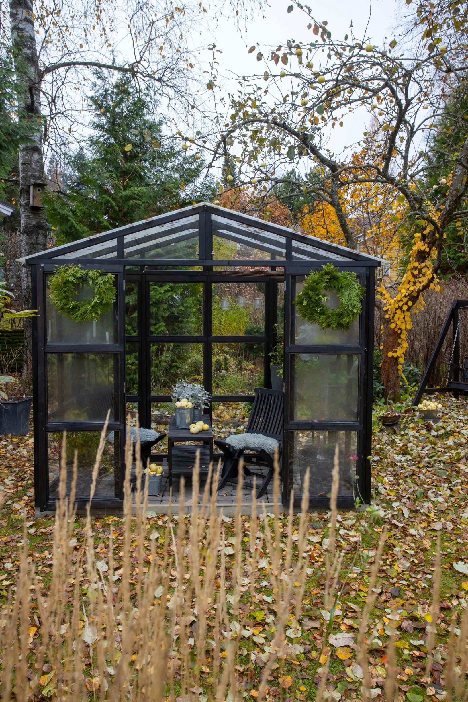 Greenhouse in fall