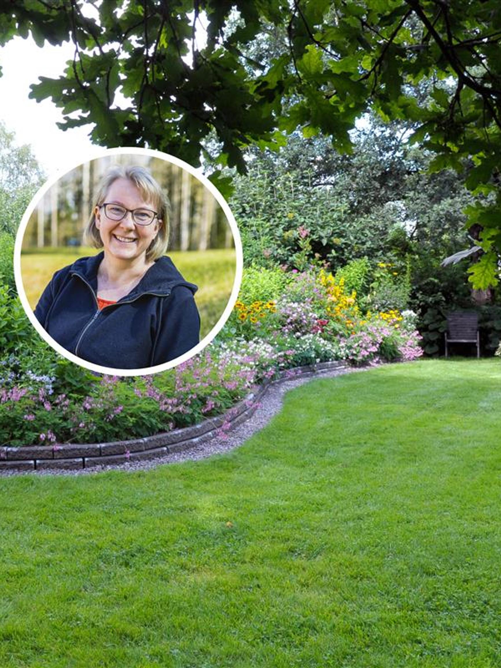 “If you get your lawn used to constant watering, it will keep needing it”—when and how to water your lawn