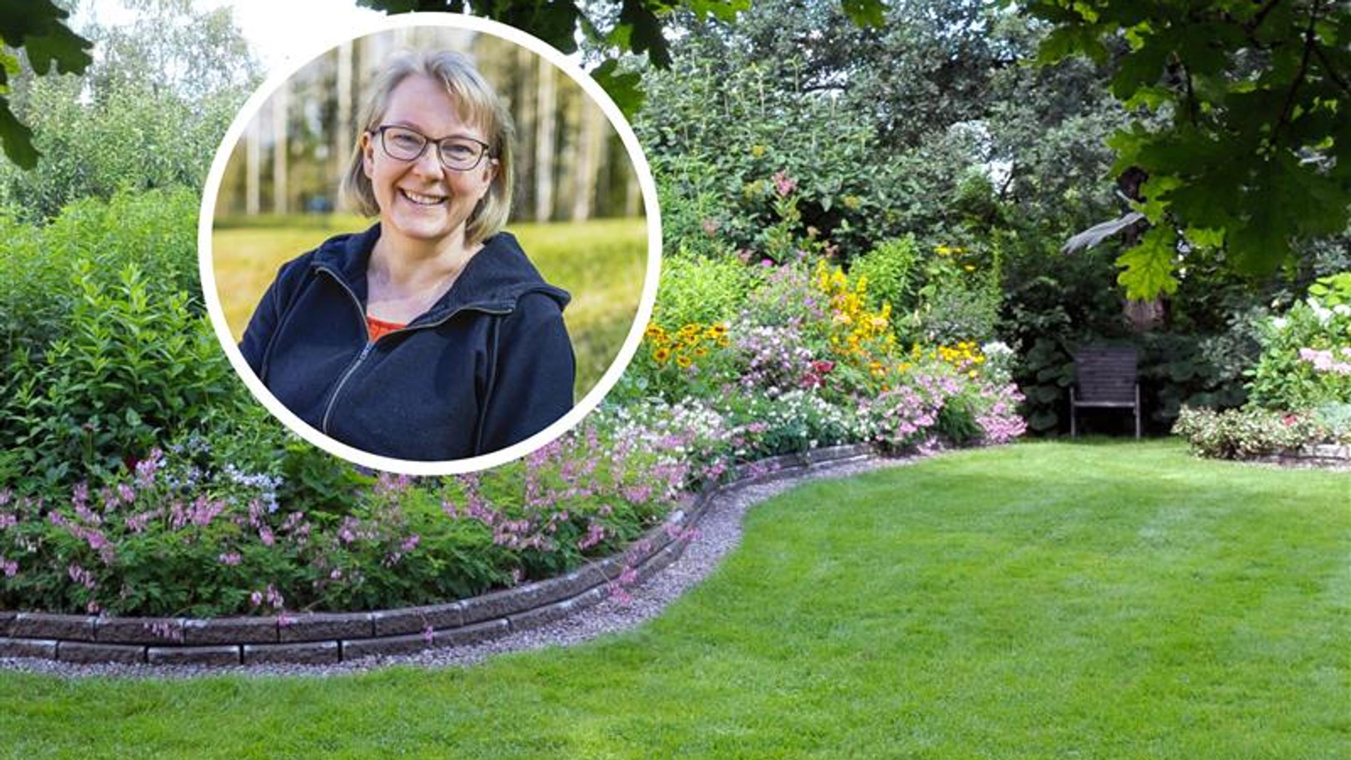 “If you get your lawn used to constant watering, it will keep needing it”—when and how to water your lawn