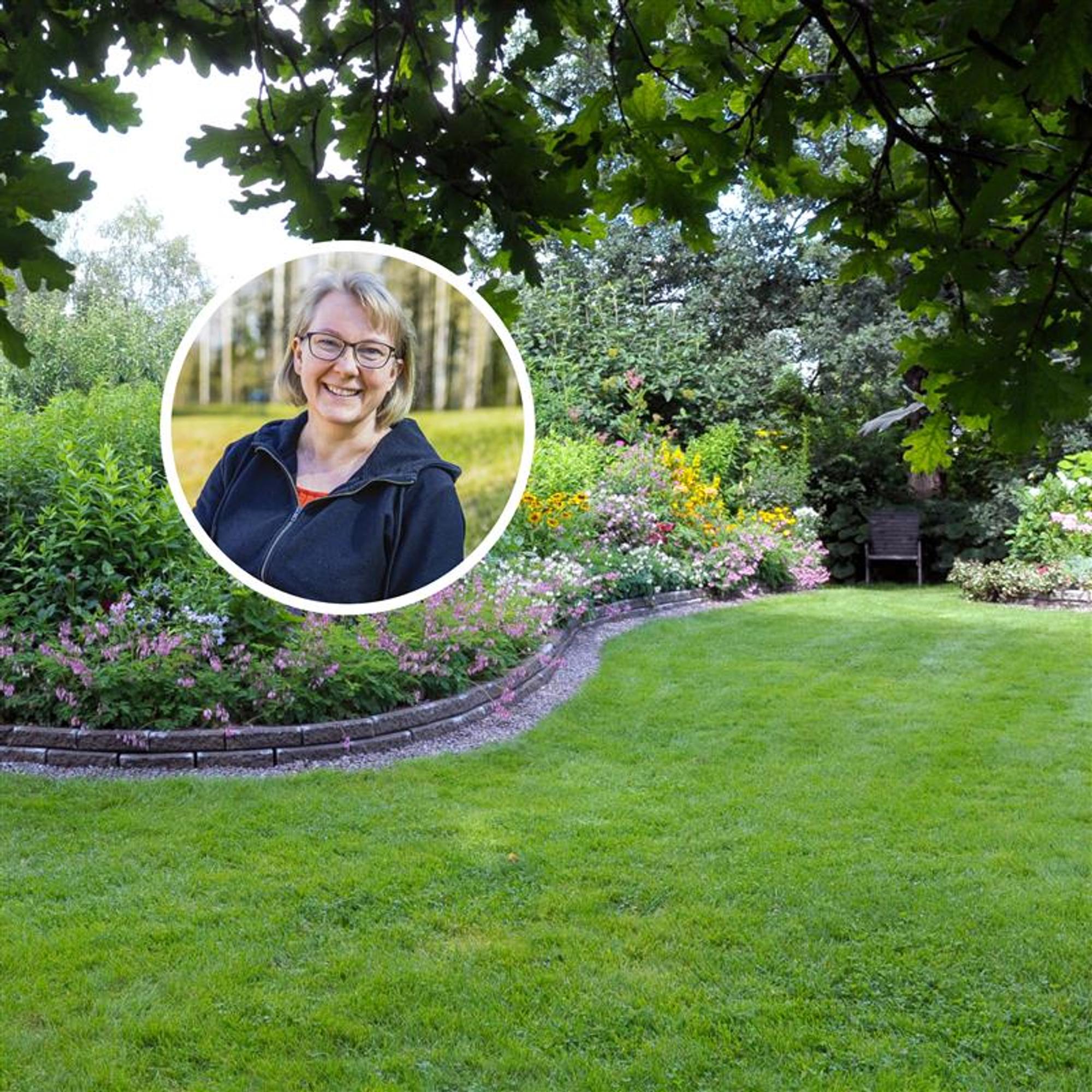 “If you get your lawn used to constant watering, it will keep needing it”—when and how to water your lawn