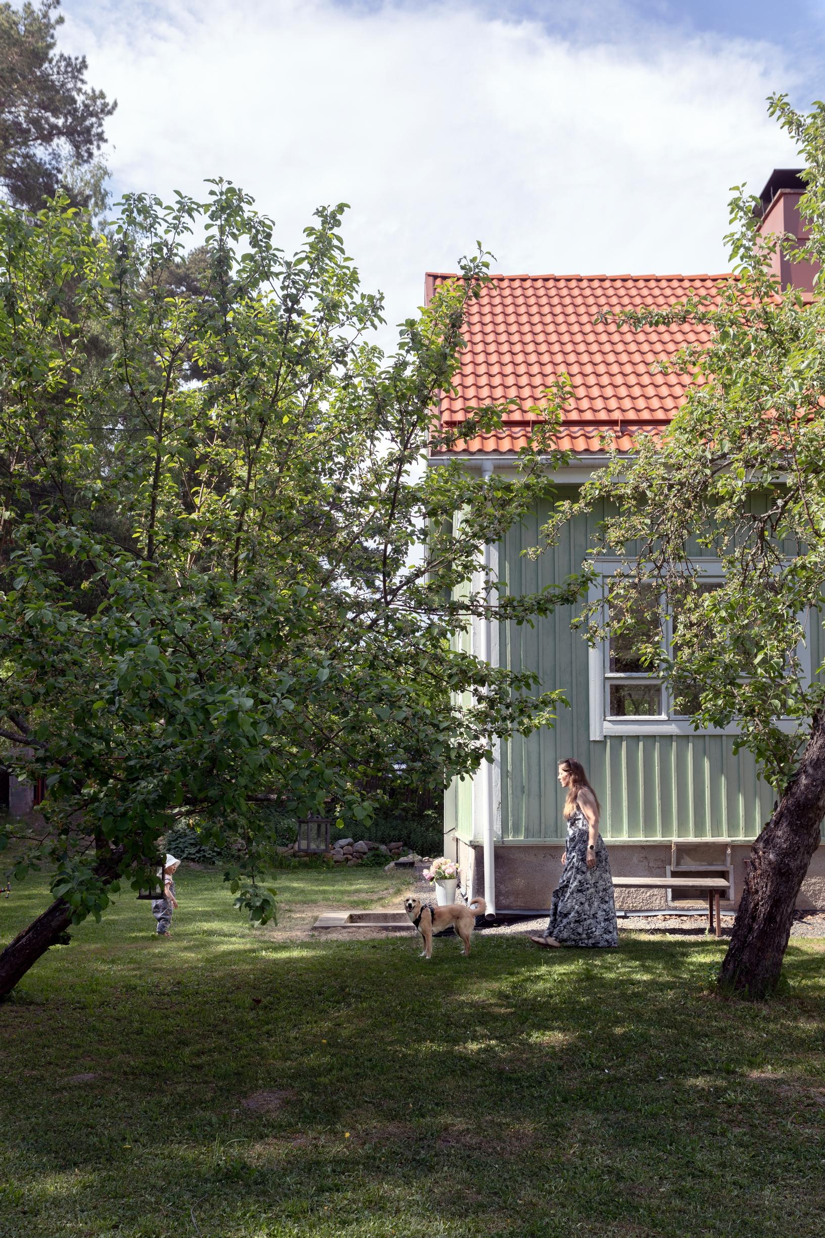 Green wooden house and garden