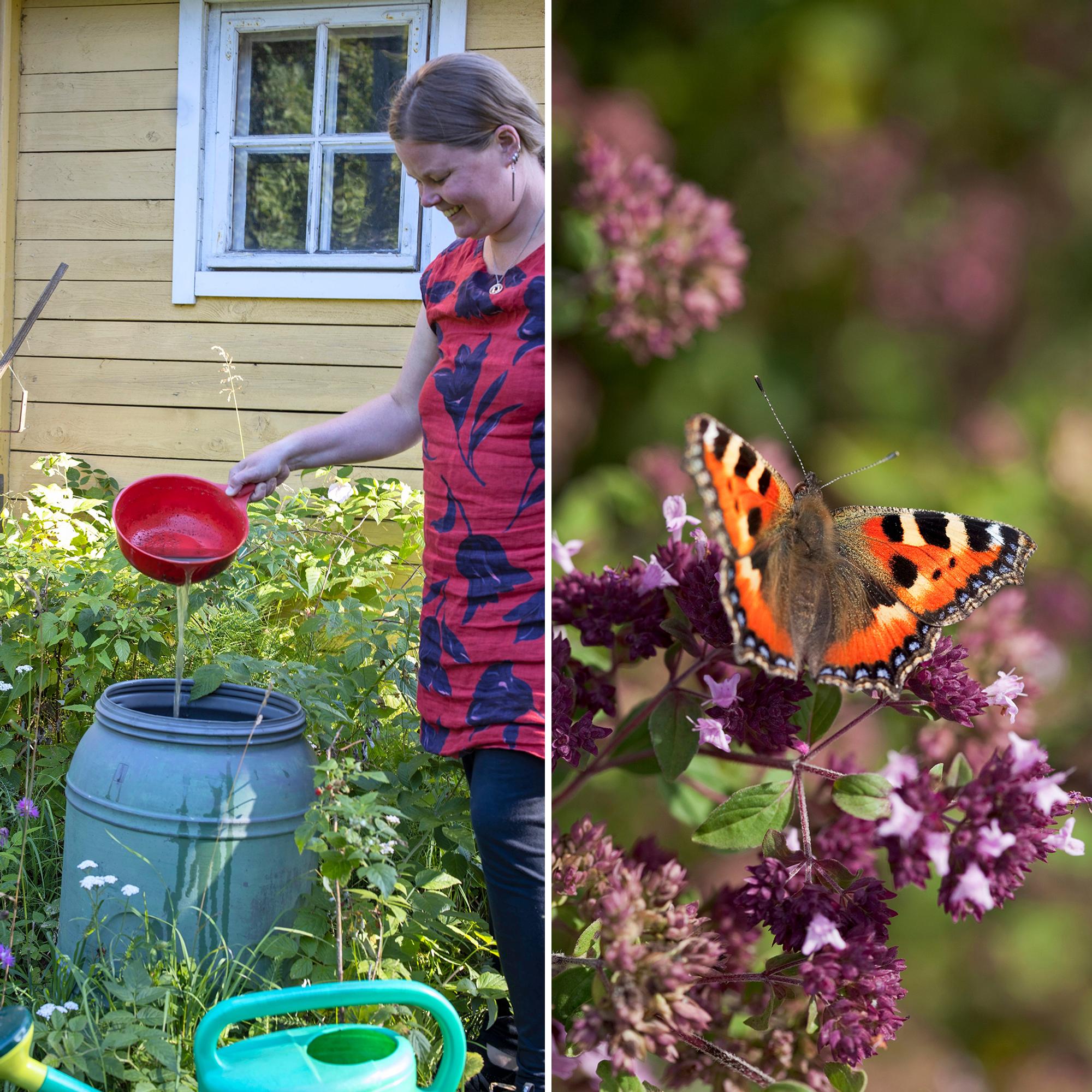 Permaculture: Grow food by mimicking nature—how to create a diverse, easy-care and self-sufficient garden