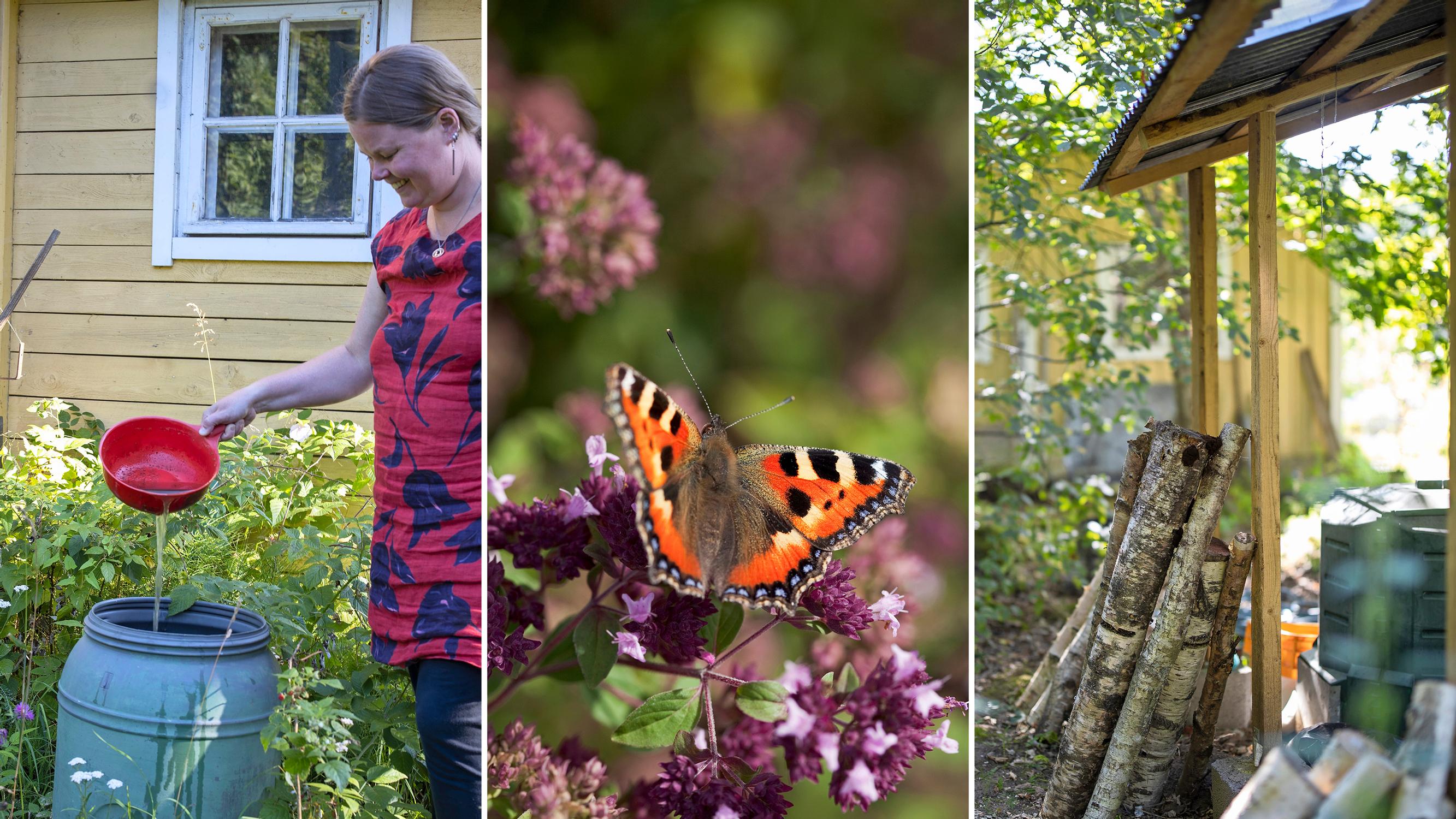 Permaculture: Grow food by mimicking nature—how to create a diverse, easy-care and self-sufficient garden