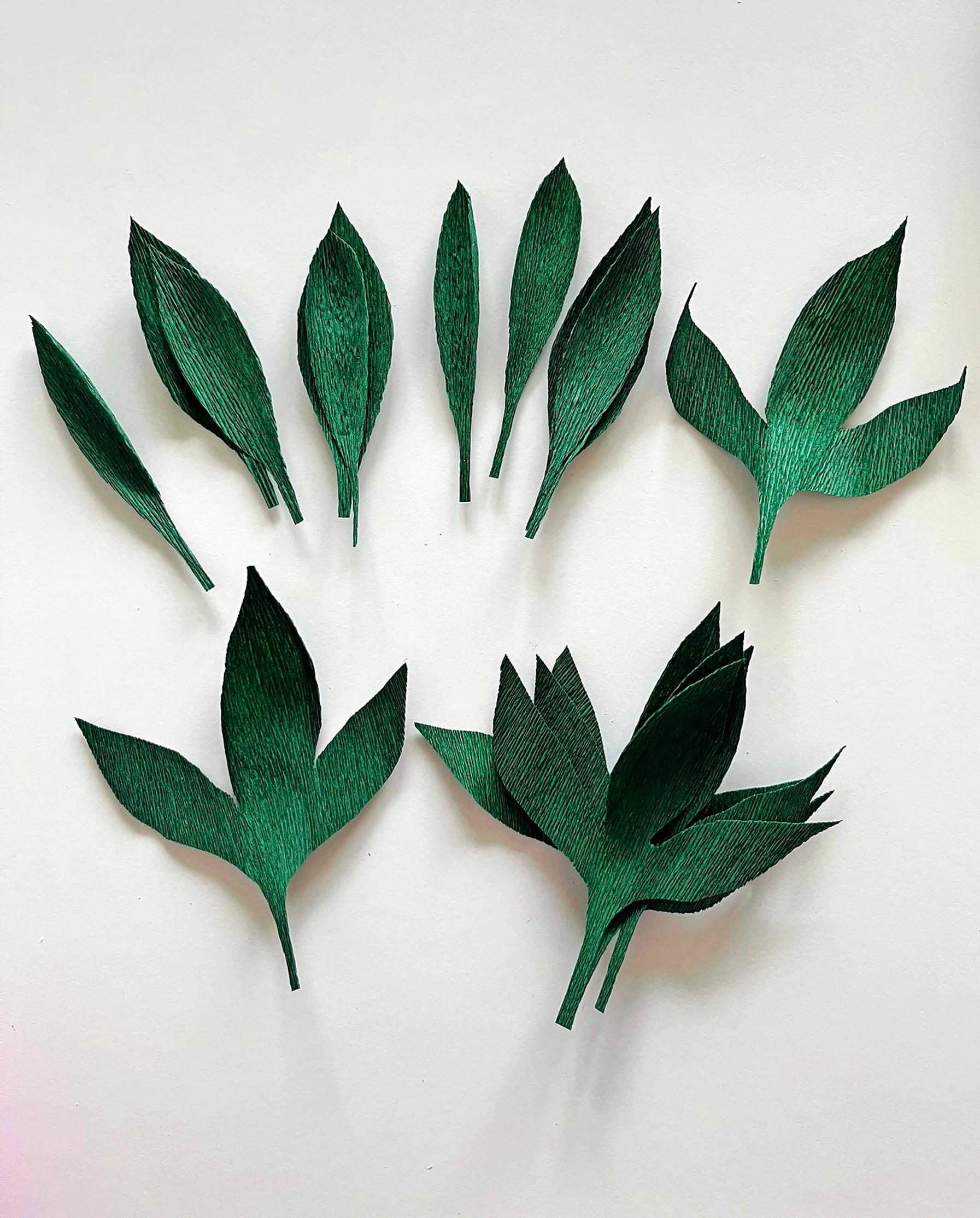 Paper peony leaves