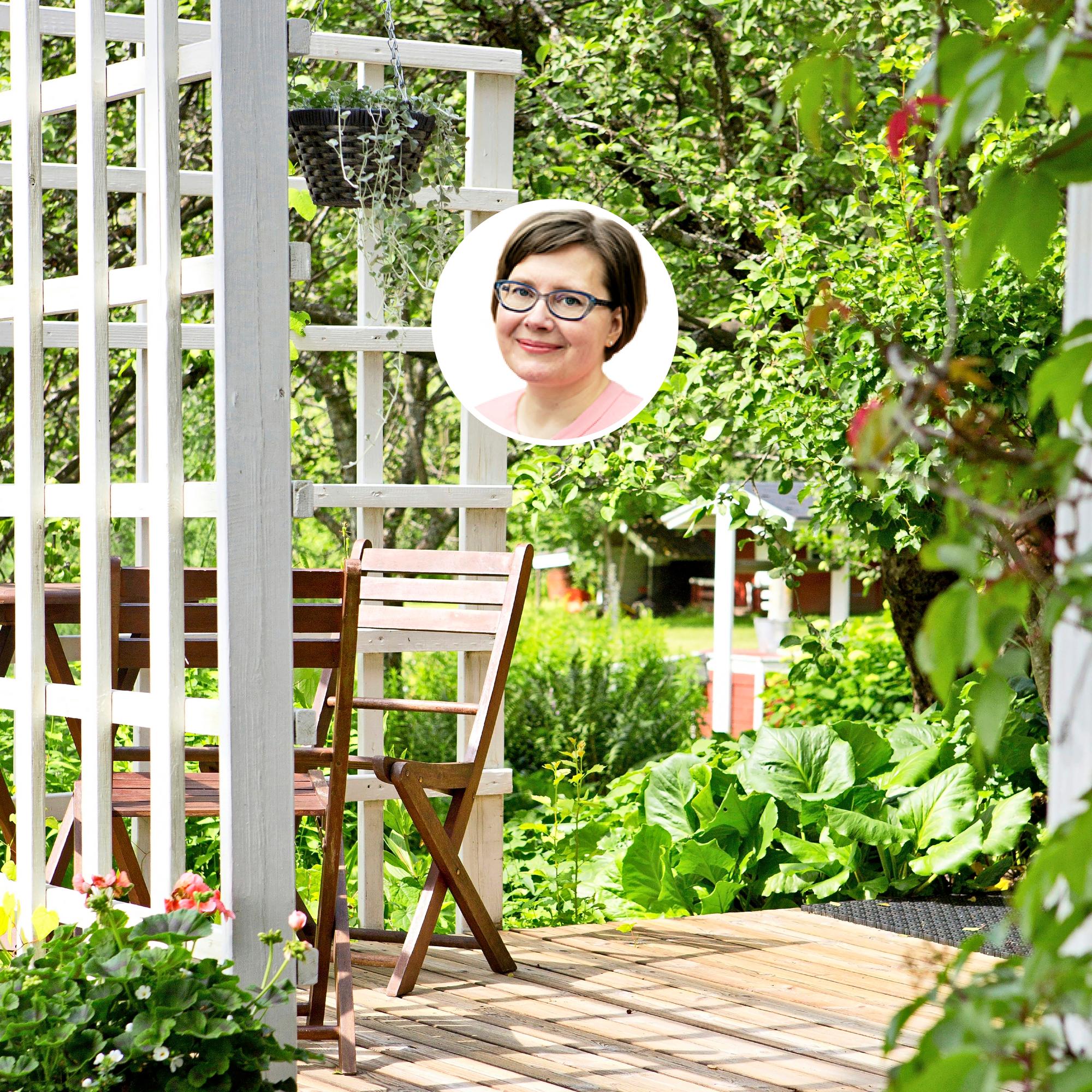 Privacy screen for your terrace—a garden designers tips for the best option