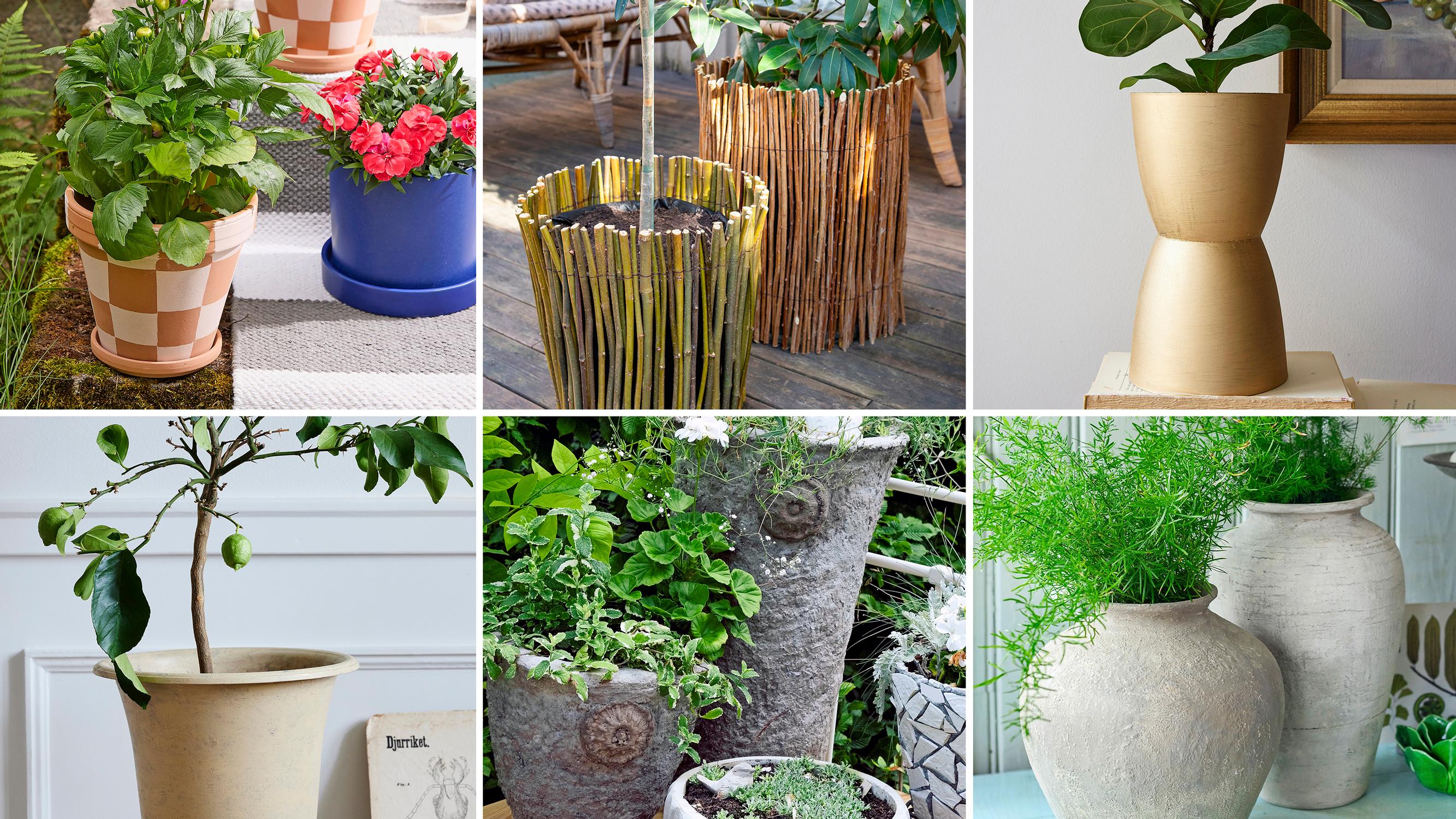Pot makeover—8 easy ideas to freshen up dull or worn-out flowerpots