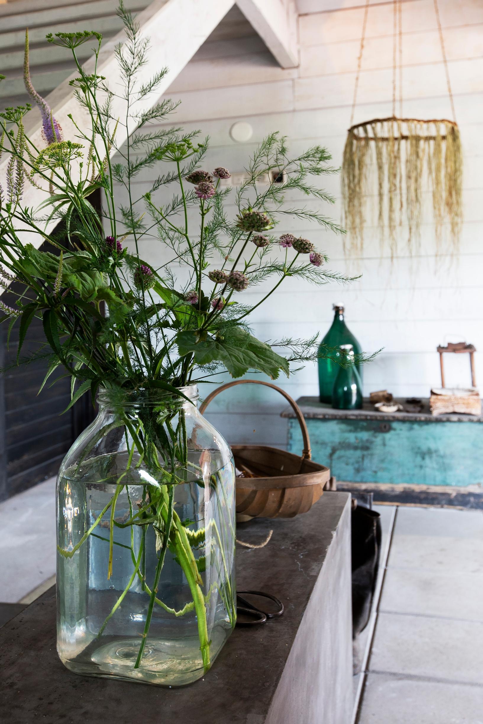 A turquoise seaman’s chest and plants in a glass jar.
