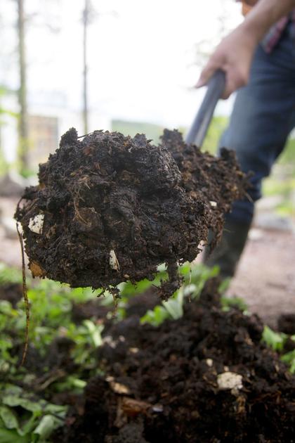 How to compost: professionals’ tips for use and care | Kotona Living