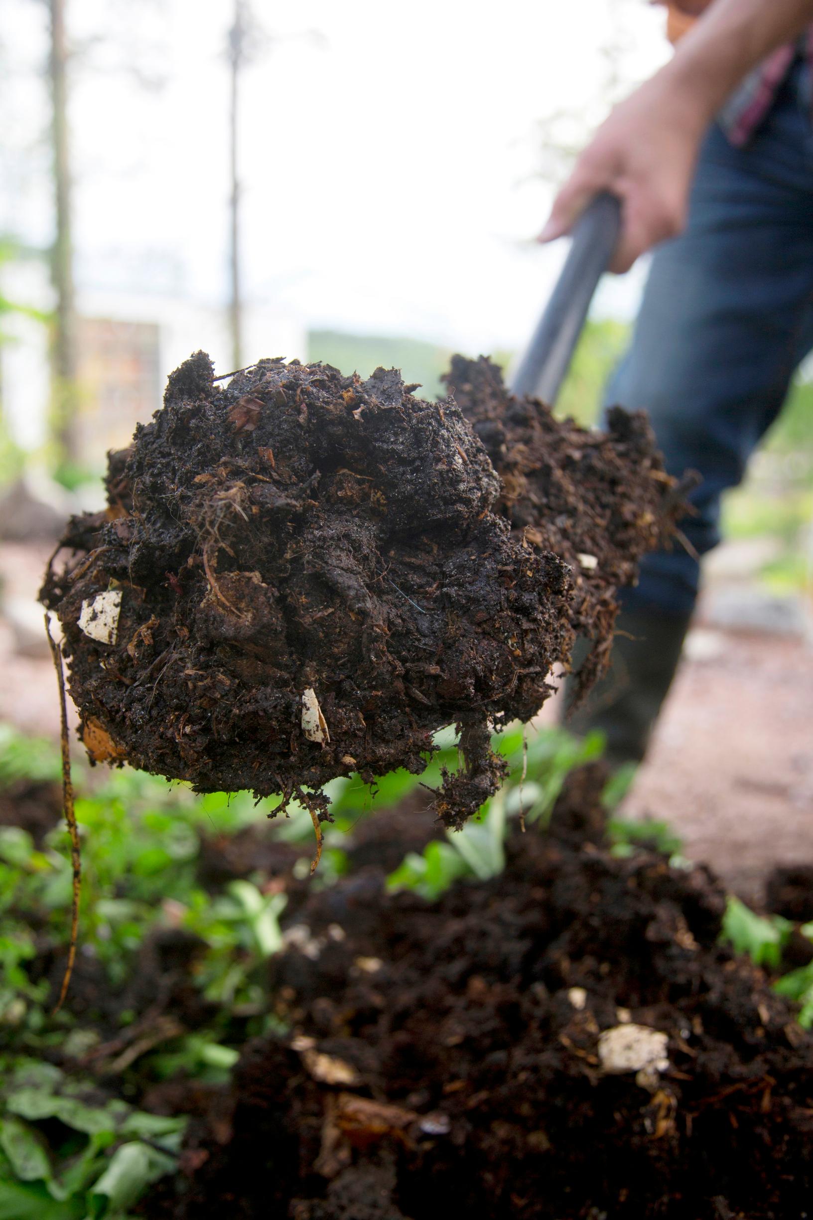 How to compost: professionals’ tips for use and care