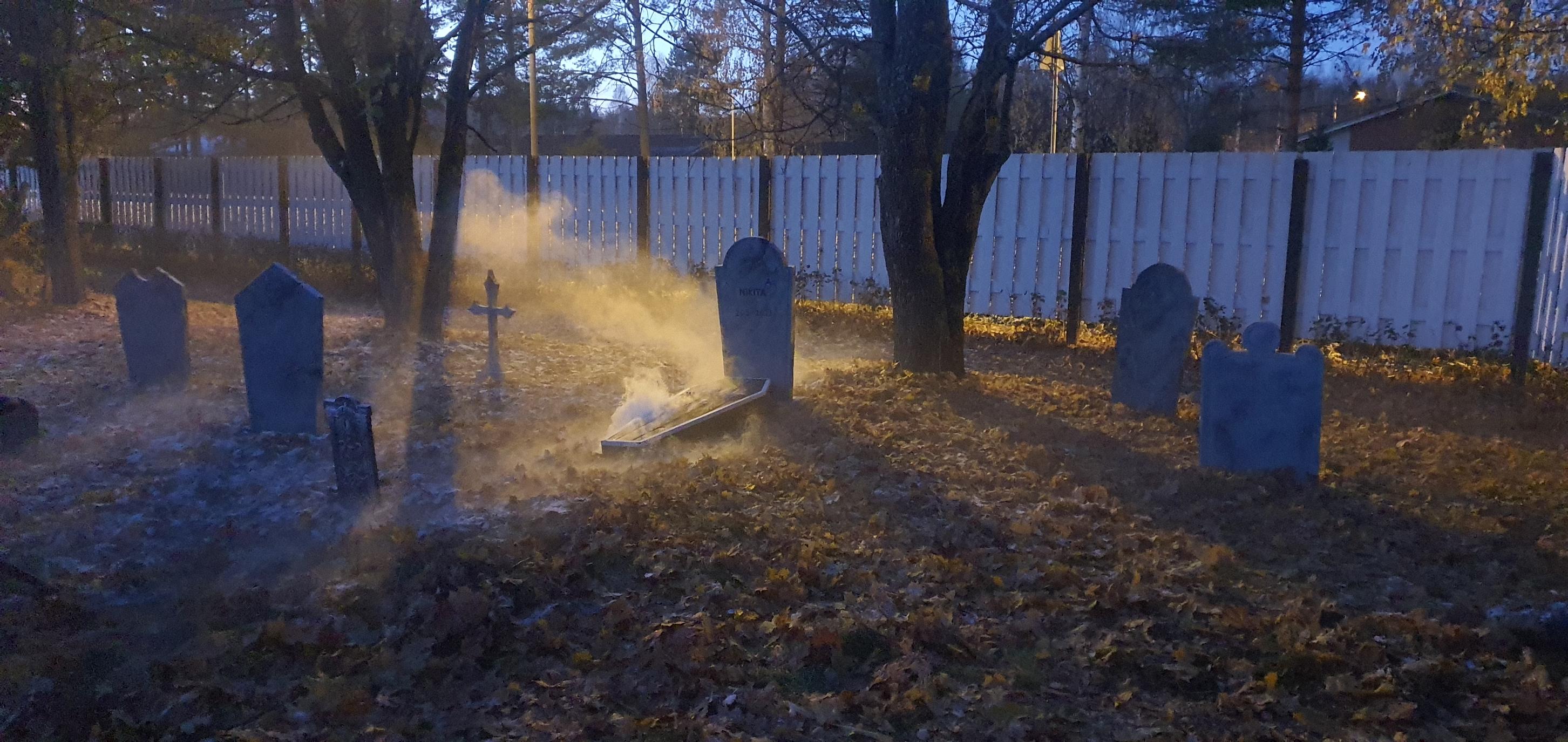 During Halloween, Jani’s family garden becomes a chillingly scary graveyard.