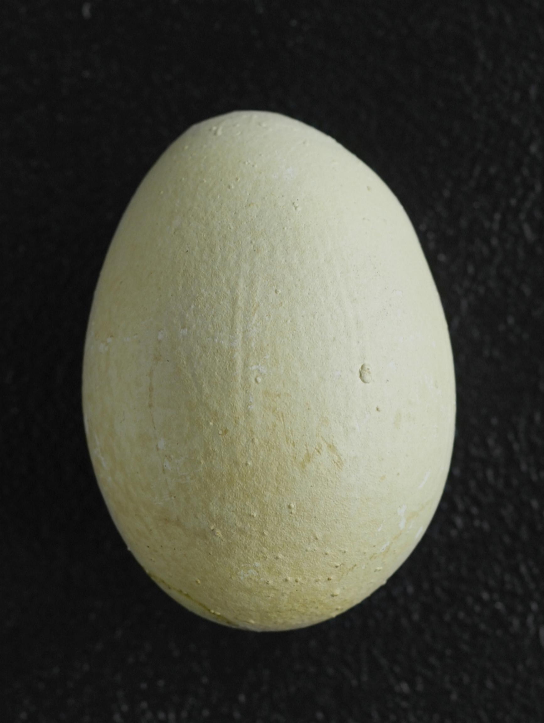 Egg dyed with matcha