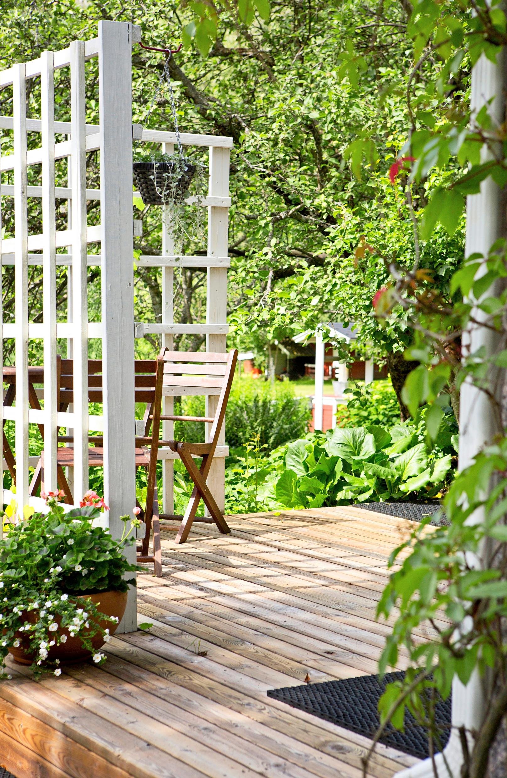 Privacy screen for the terrace: climbing plant trellis