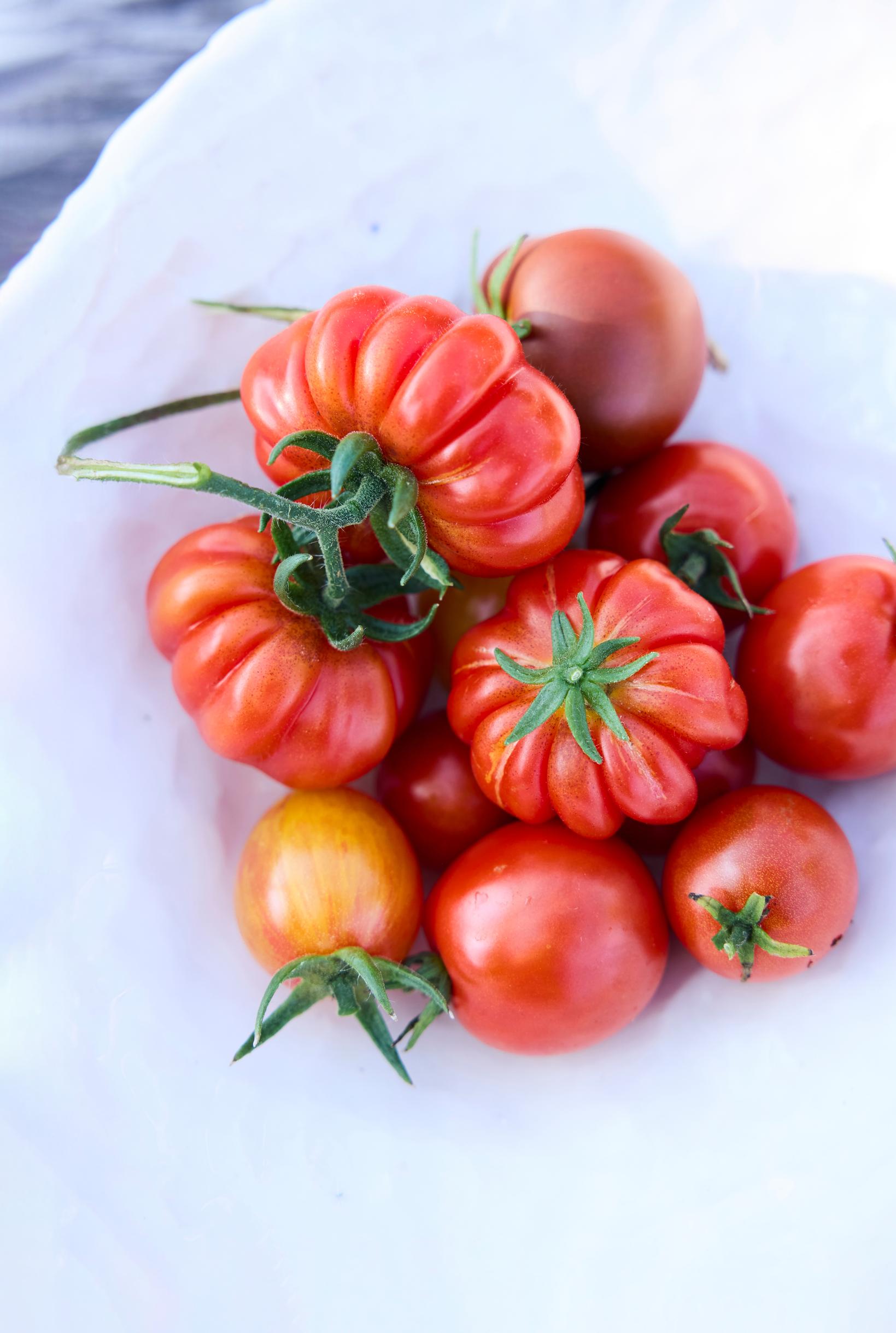 Tomato varieties