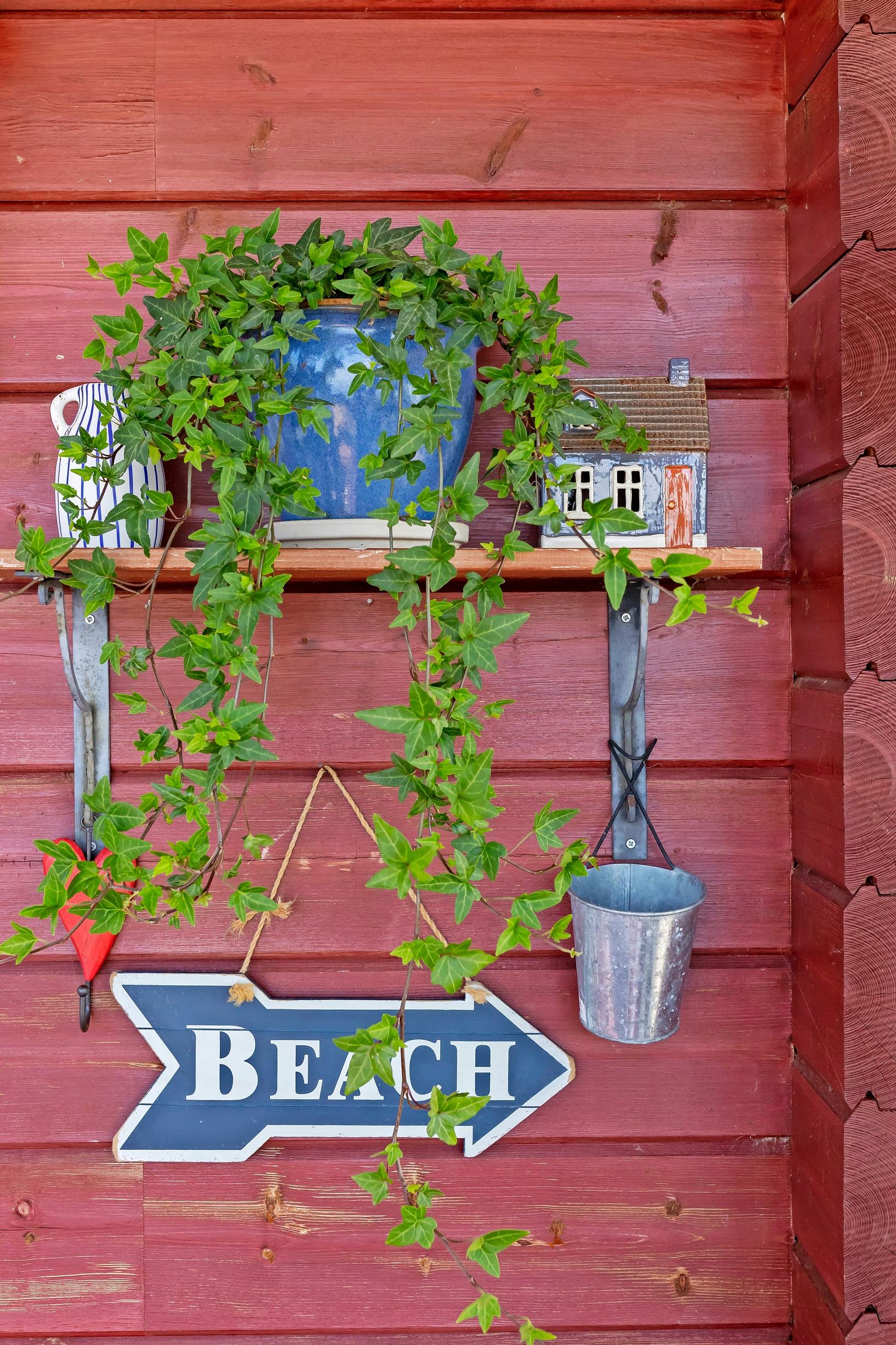 a plant and objects on a shelf, a beach sign attached to the wall