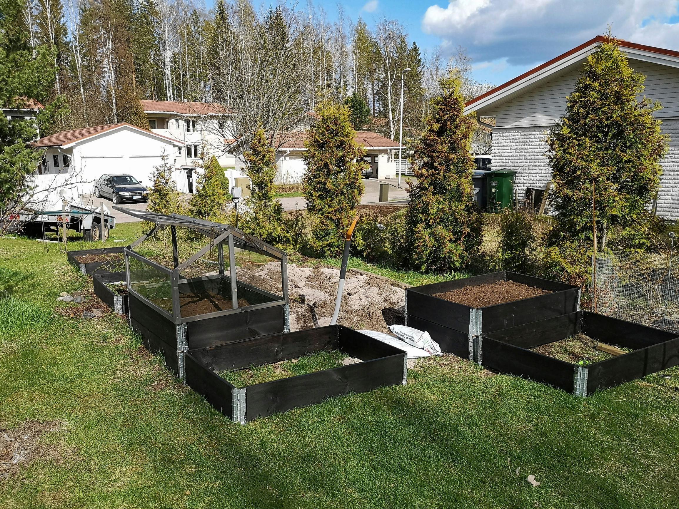Raised beds and lawn before the greenhouse was built.