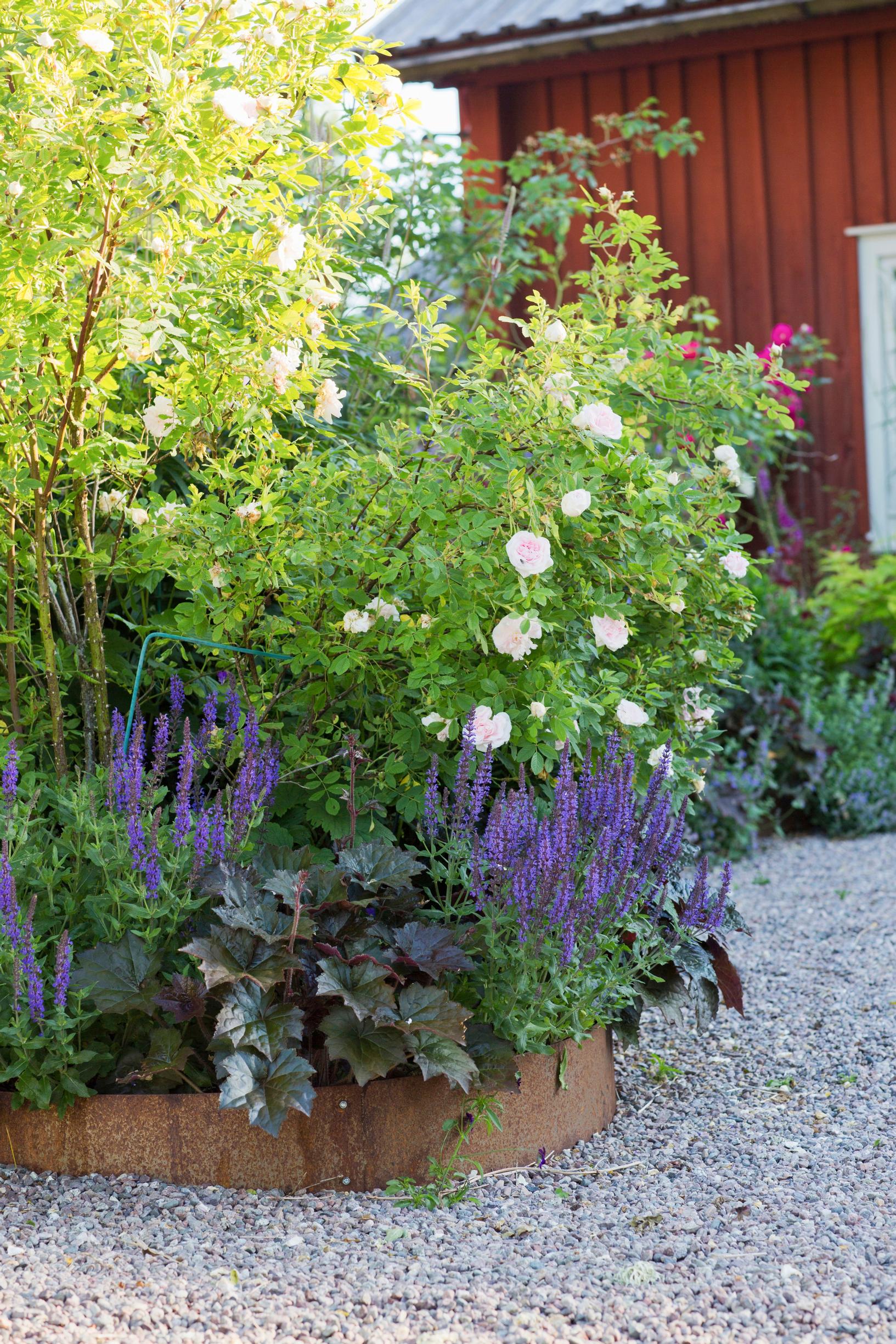 Flower bed edging: metal border