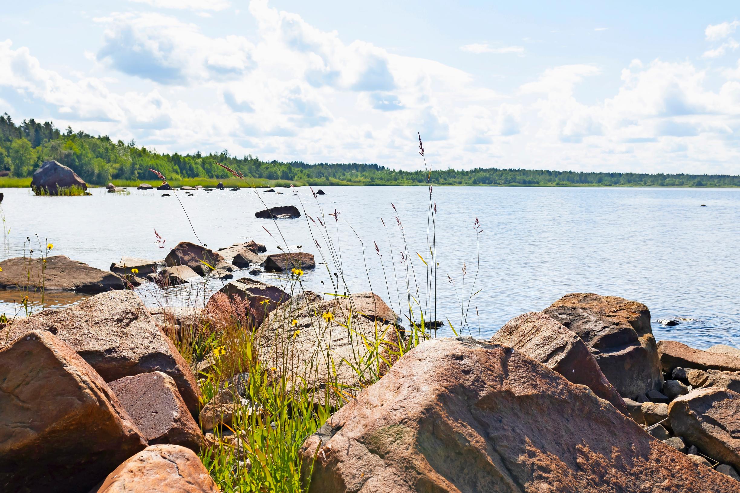 Large shoreline rocks and grasses, the sea, and a forest on the opposite shore