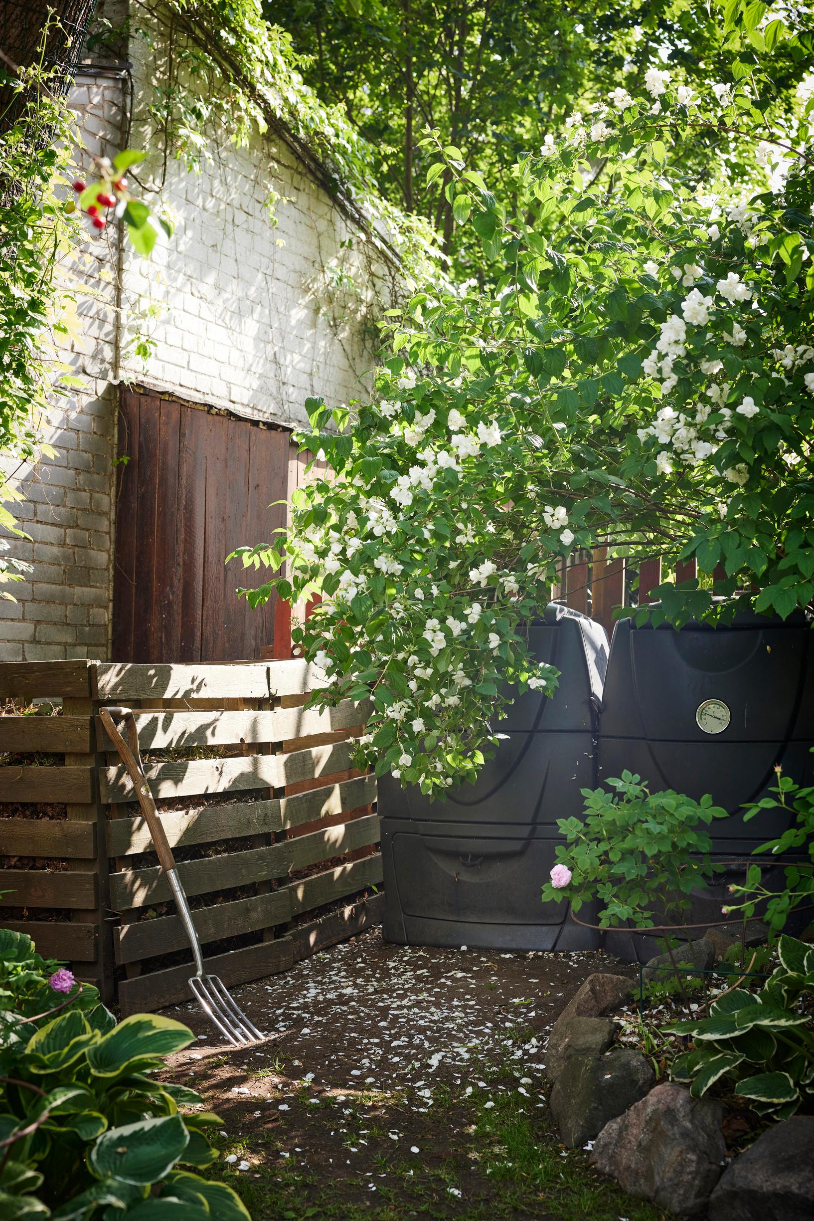 Compost area