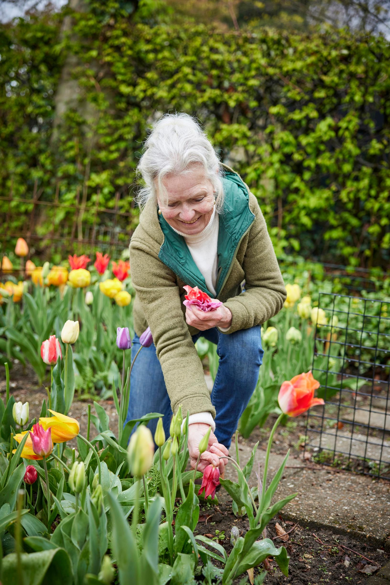 Jacqueline van der Kloet’s garden
