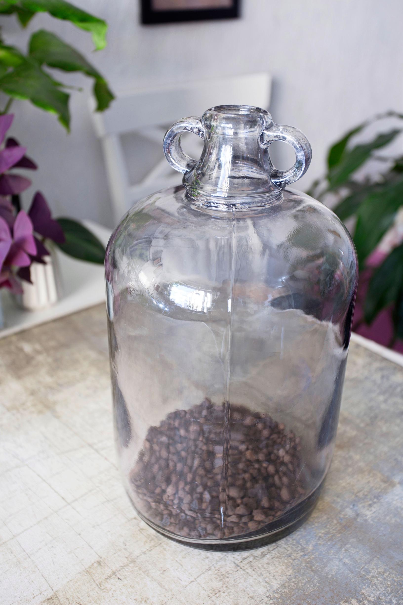 plant bottle