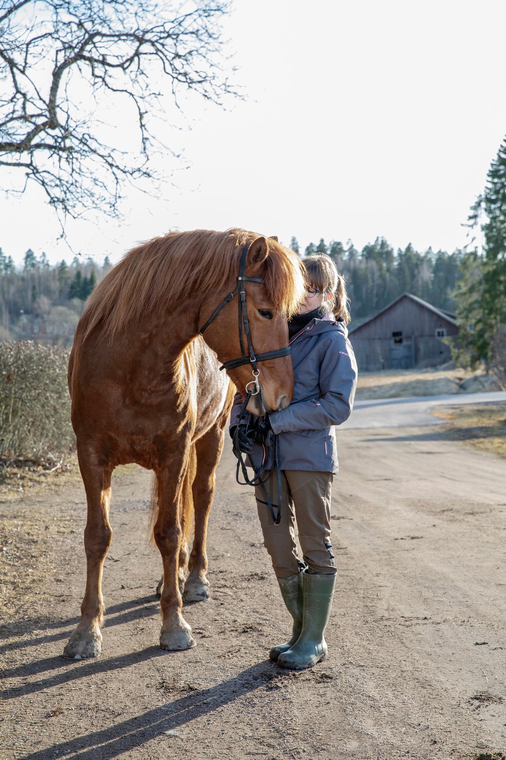 A woman leading a Finnish horse along a road, the horse turning its head into her arms