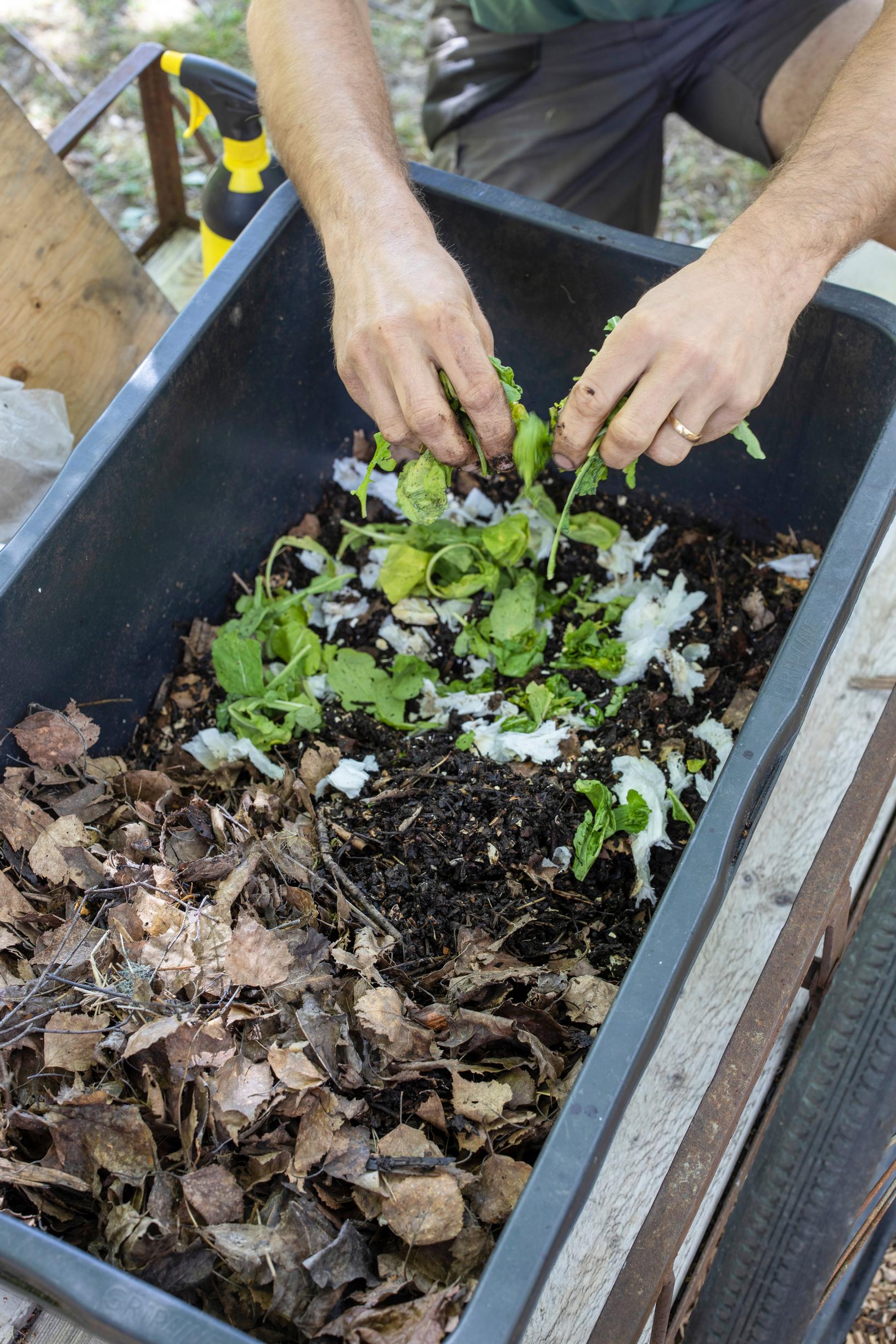Worm compost: Kimmo Englund feeds his compost earthworms with vegetable scraps and shredded paper.