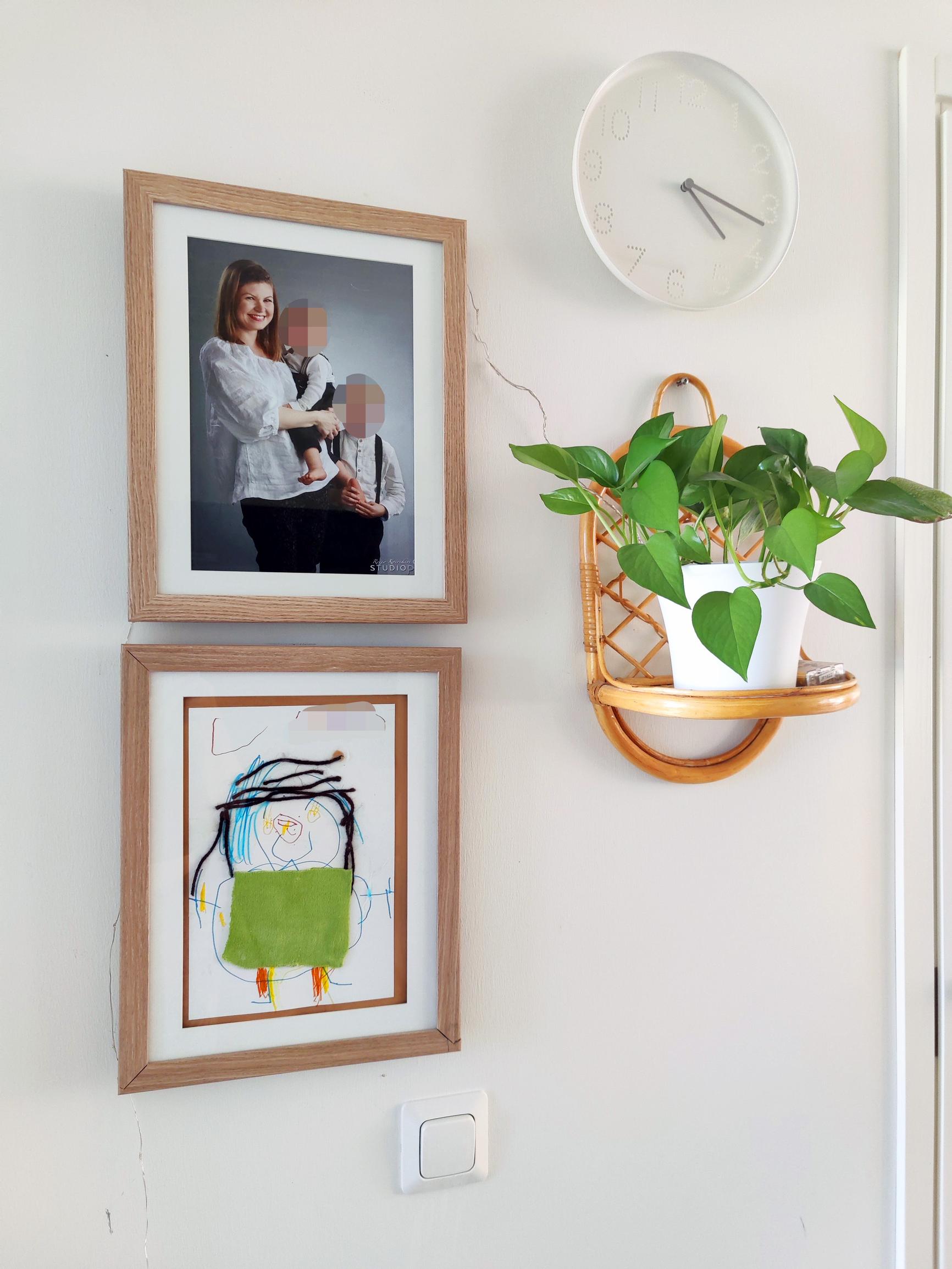 Frames and a green plant on the wall