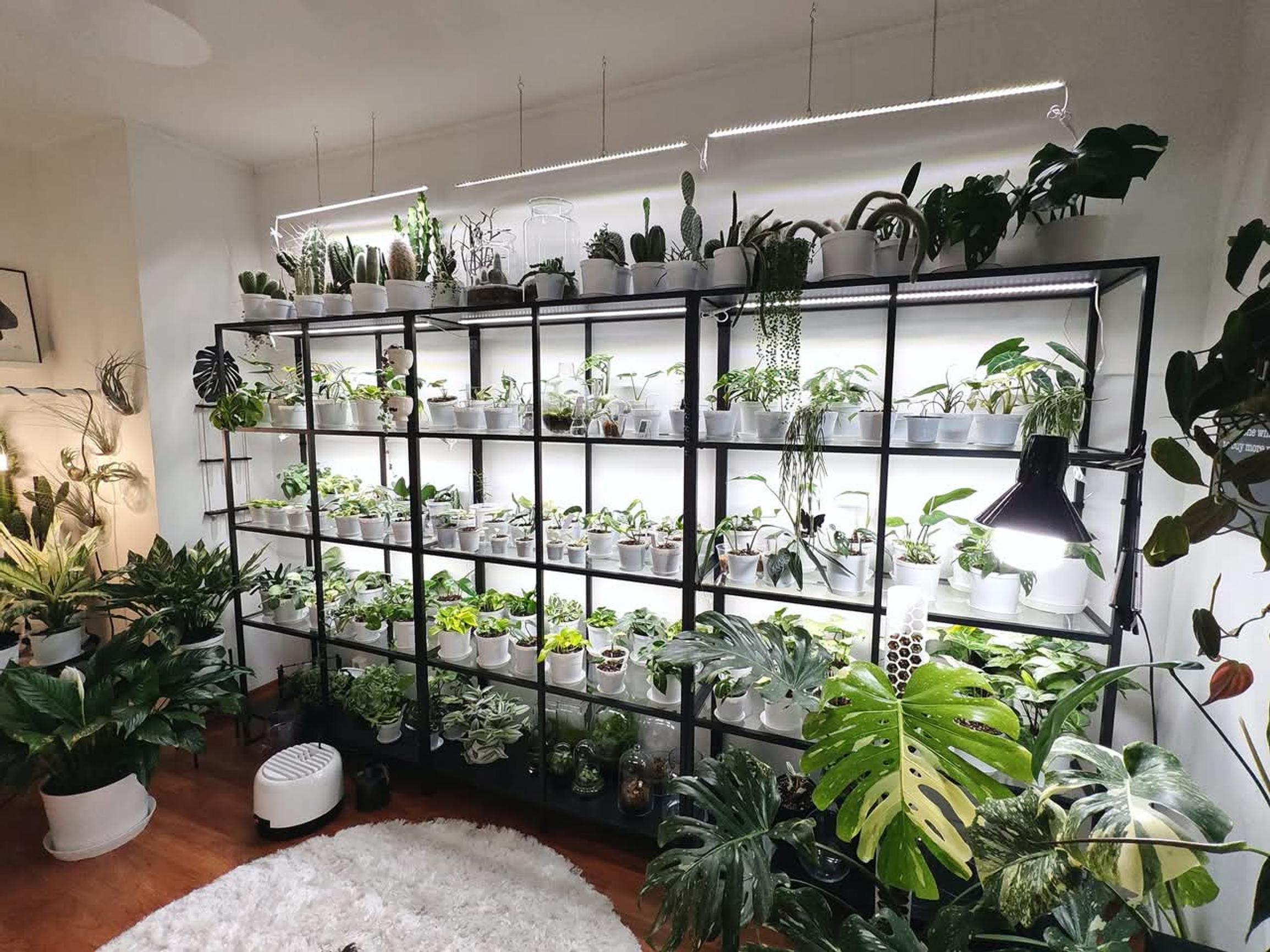 LED strip lights are handy on shelves. The shelving unit is from IKEA’s Vittsjö series.