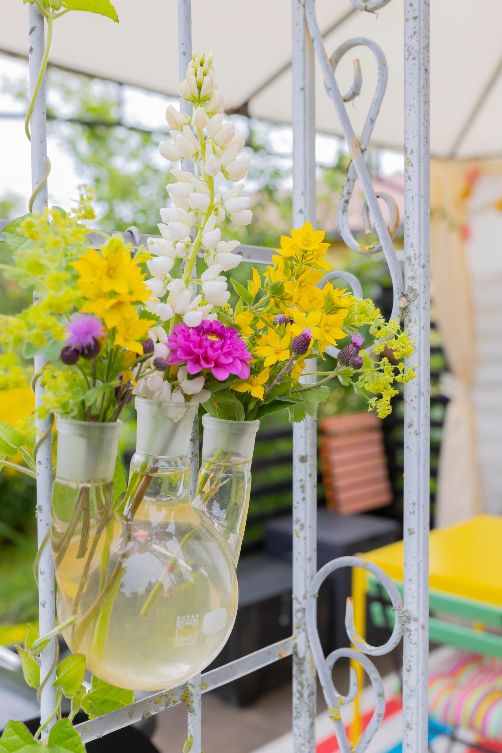 summer flowers in a glass vase hanging up
