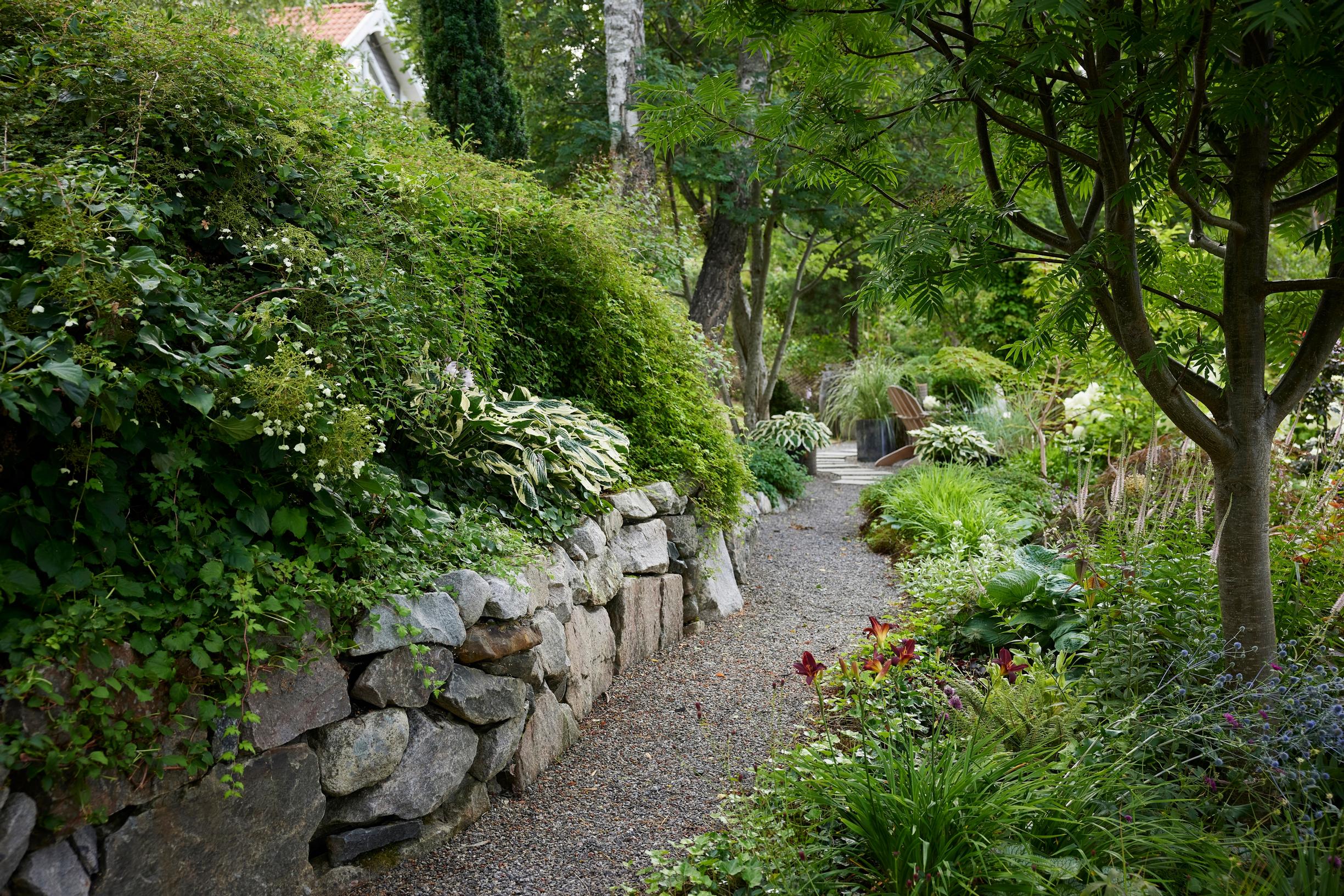 Moosegarden: a stone wall in the garden