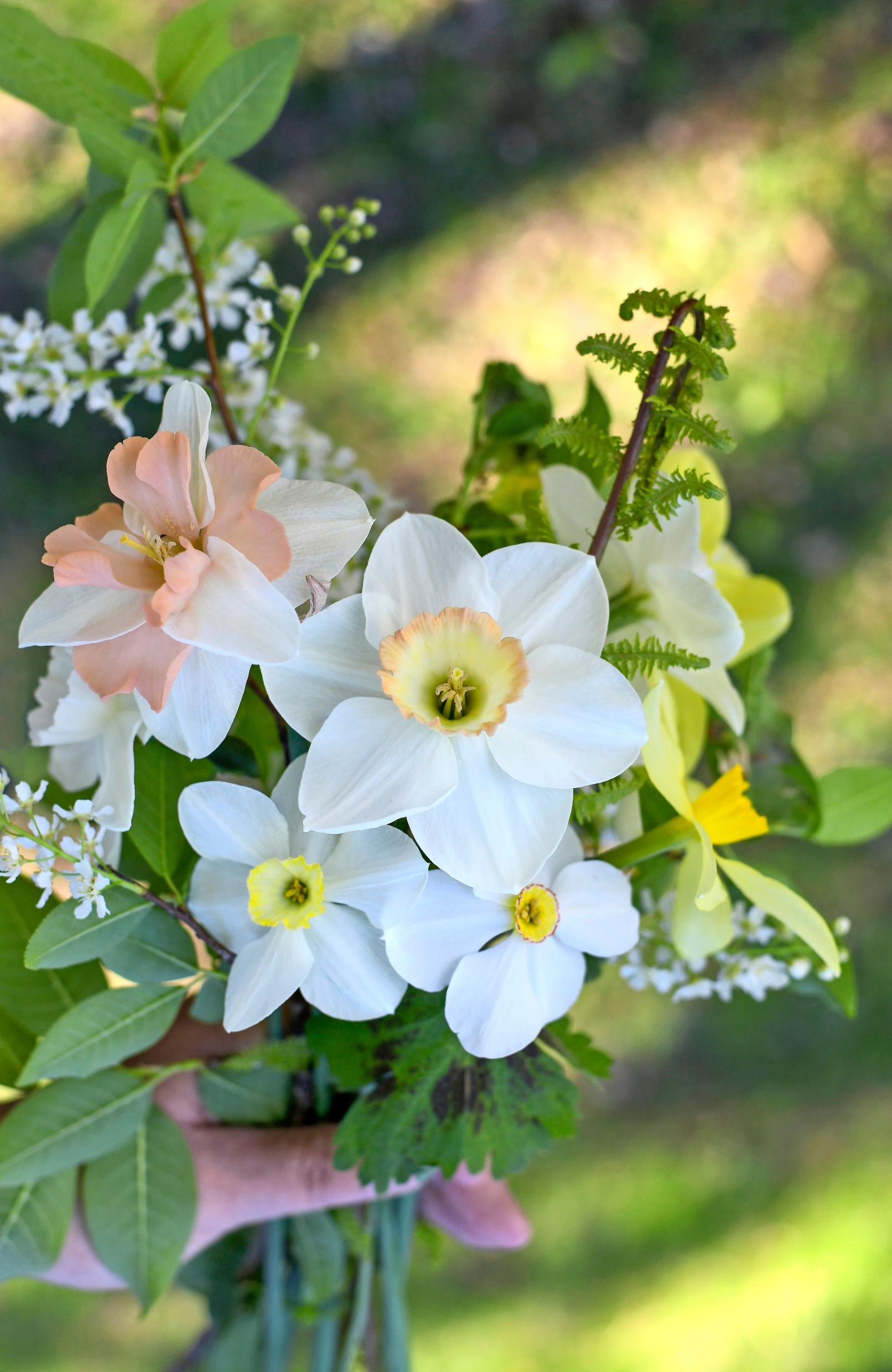 A handful of daffodils