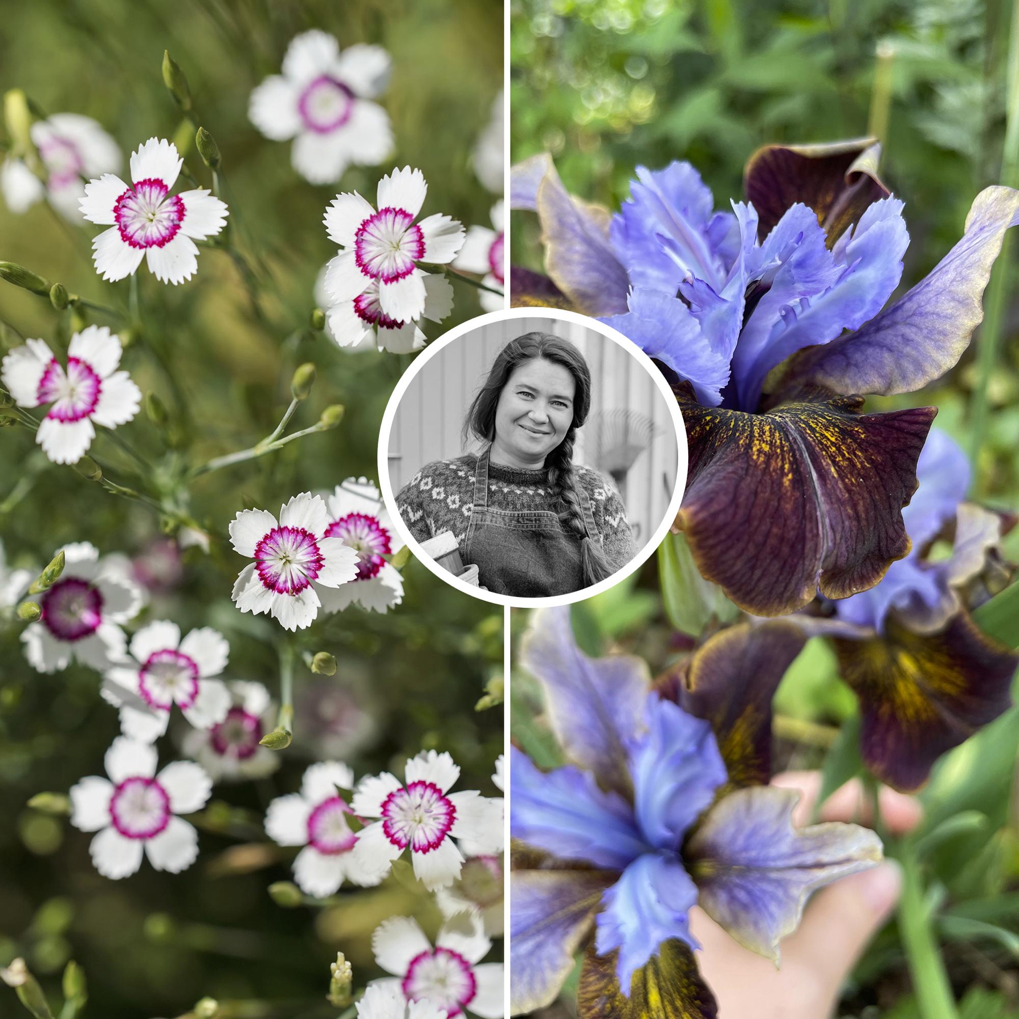 Our gardening editor’s 9 favorite plants right now: “When the buds open, the sight is breathtaking”
