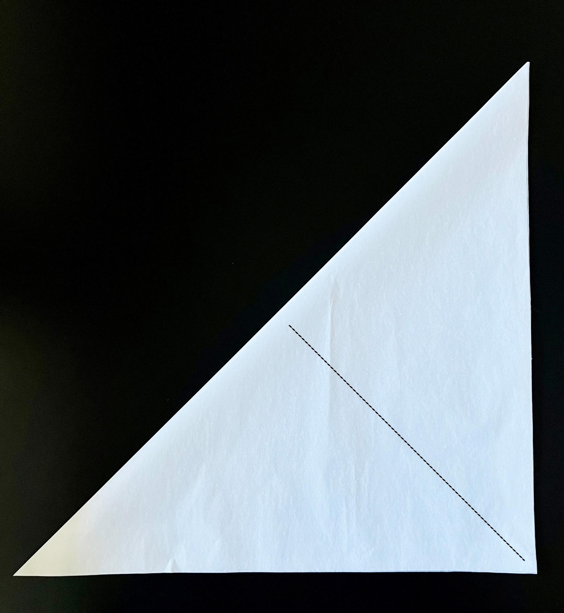 Folding the tissue paper for the fringe star