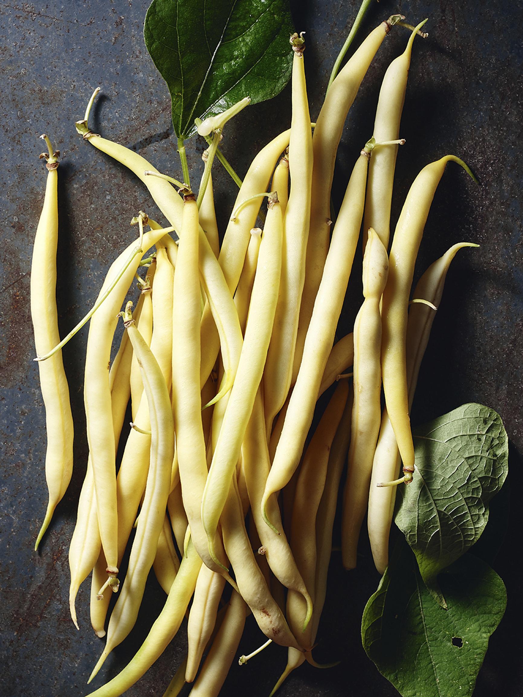 Harvest and handle beans: don’t forget to boil, and try drying!