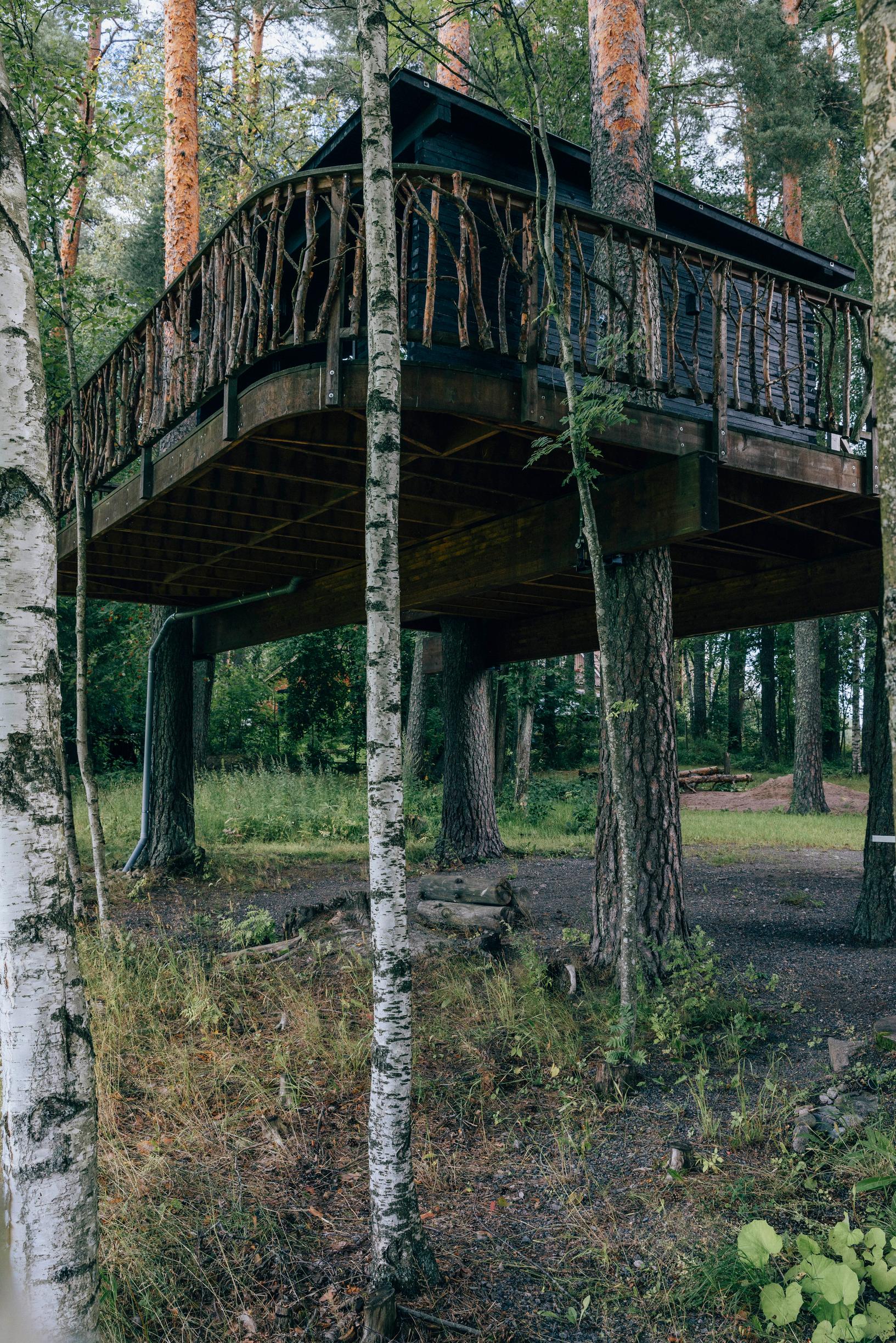 treehouse sauna