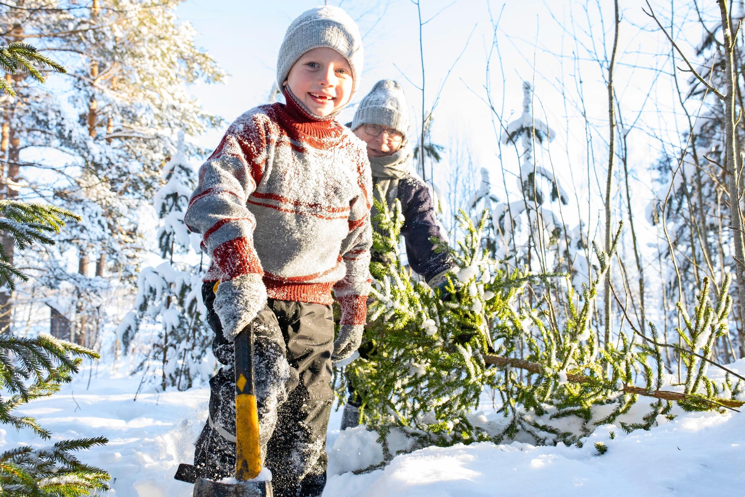 The Huhtaniemi family on a Christmas tree outing