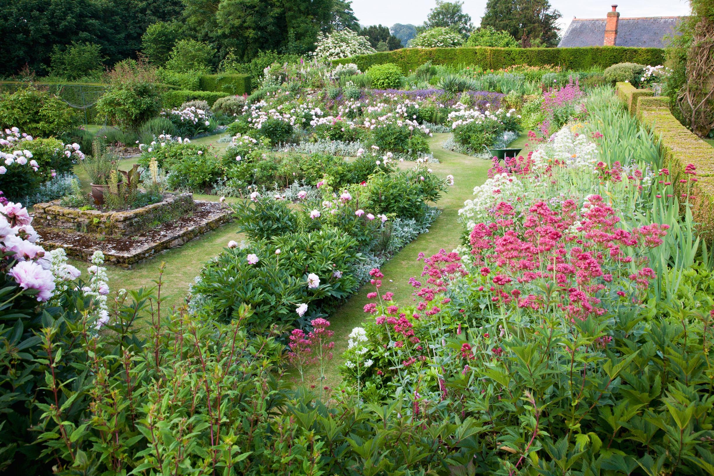 Red valerian, peony ‘Sarah Bernhardt’, rose, The Manor House, Gertrude Jekyll