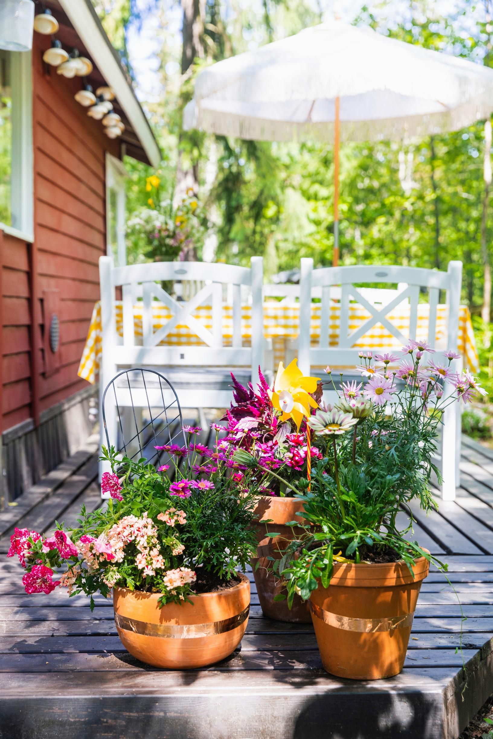 flower pots and flowers on the terrace, with a dining set in the background