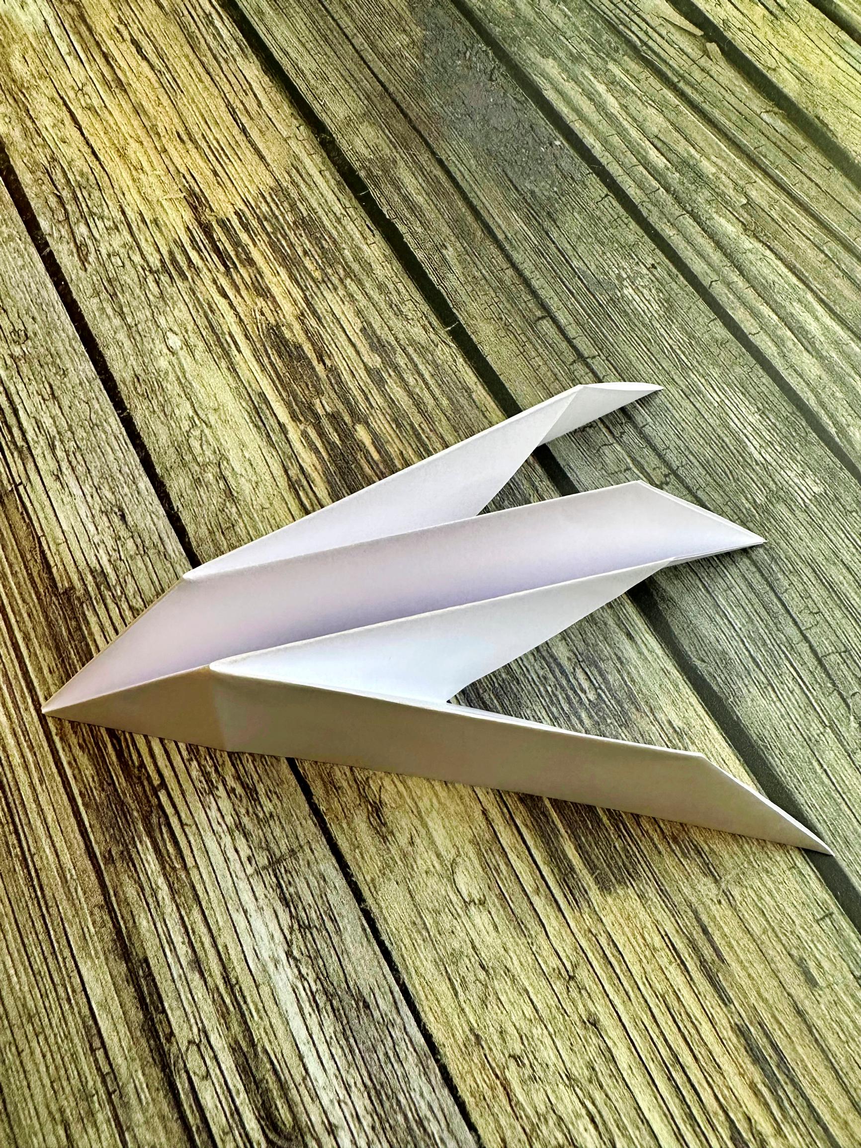 Origami viewed from below