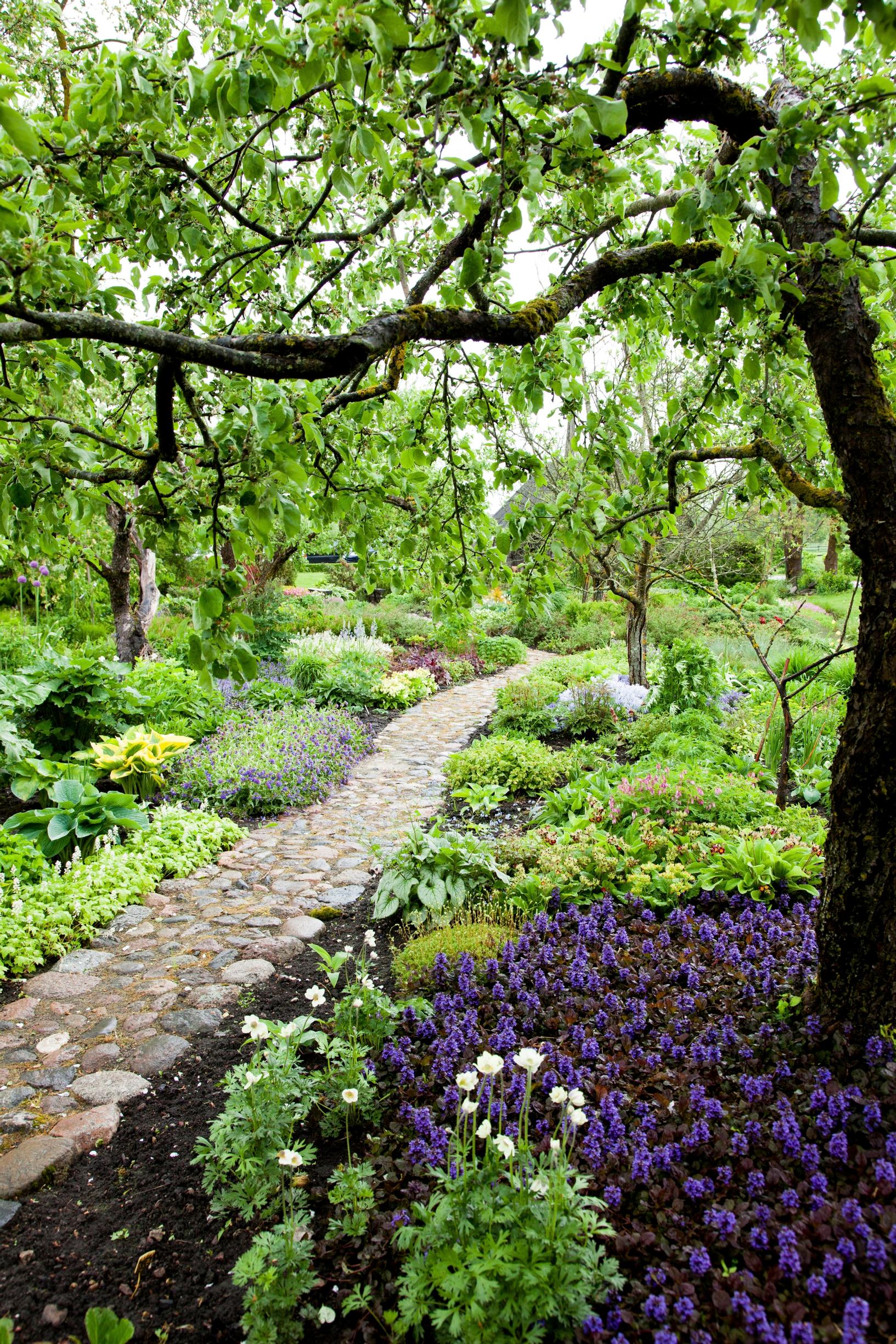garden ideas