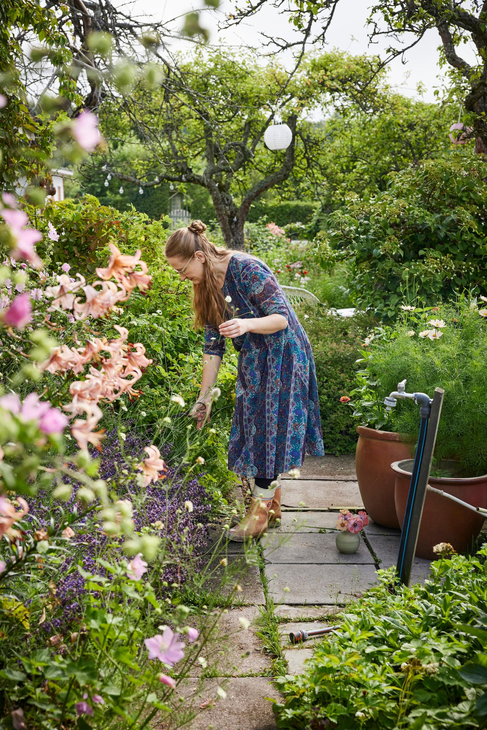 Satu Koivisto examining a flower bed