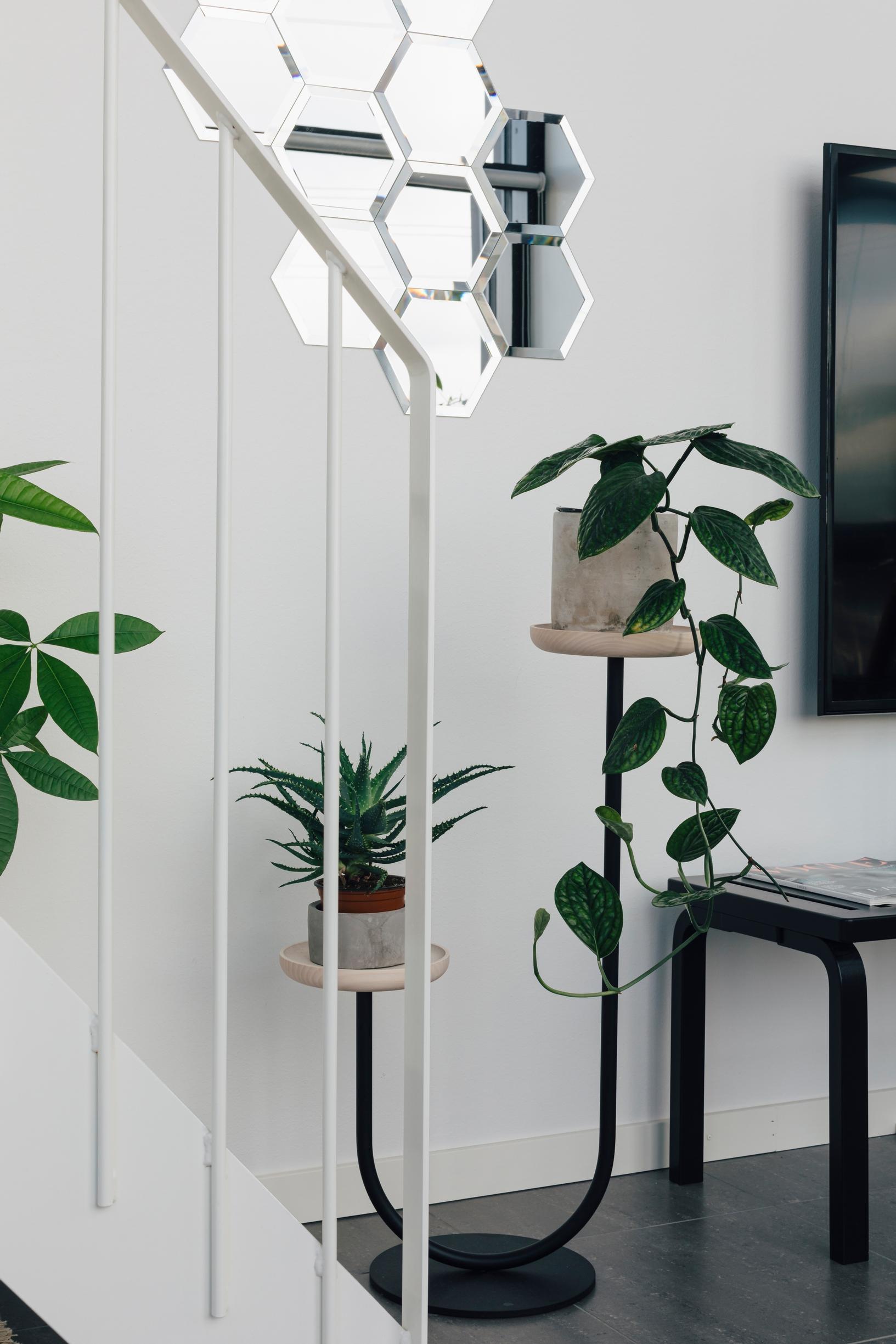 Arranging plants indoors: houseplants arranged on plant pedestals next to the staircase