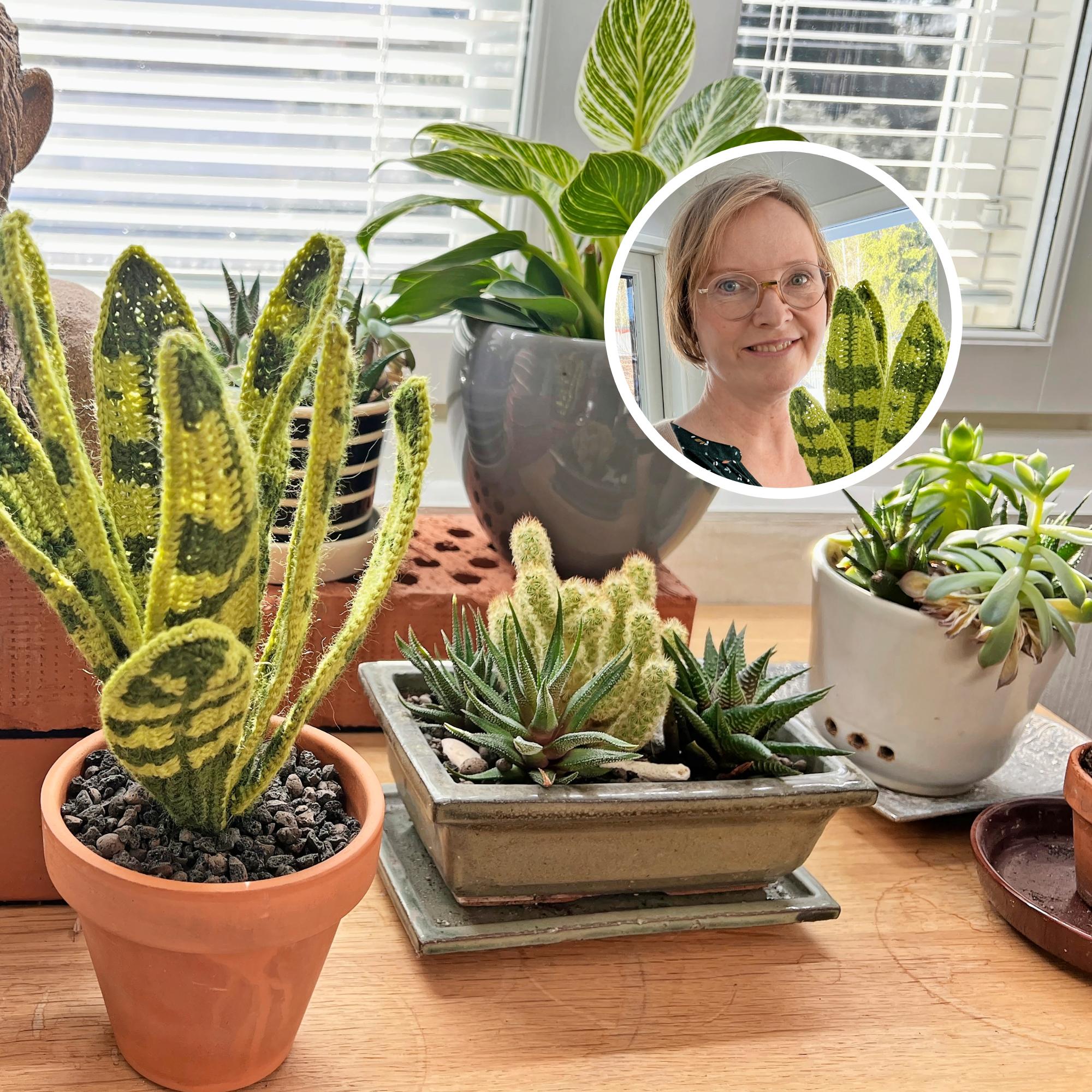 Wonderful crocheted houseplants—“Sometimes, for a split second, I’m about to water them too”